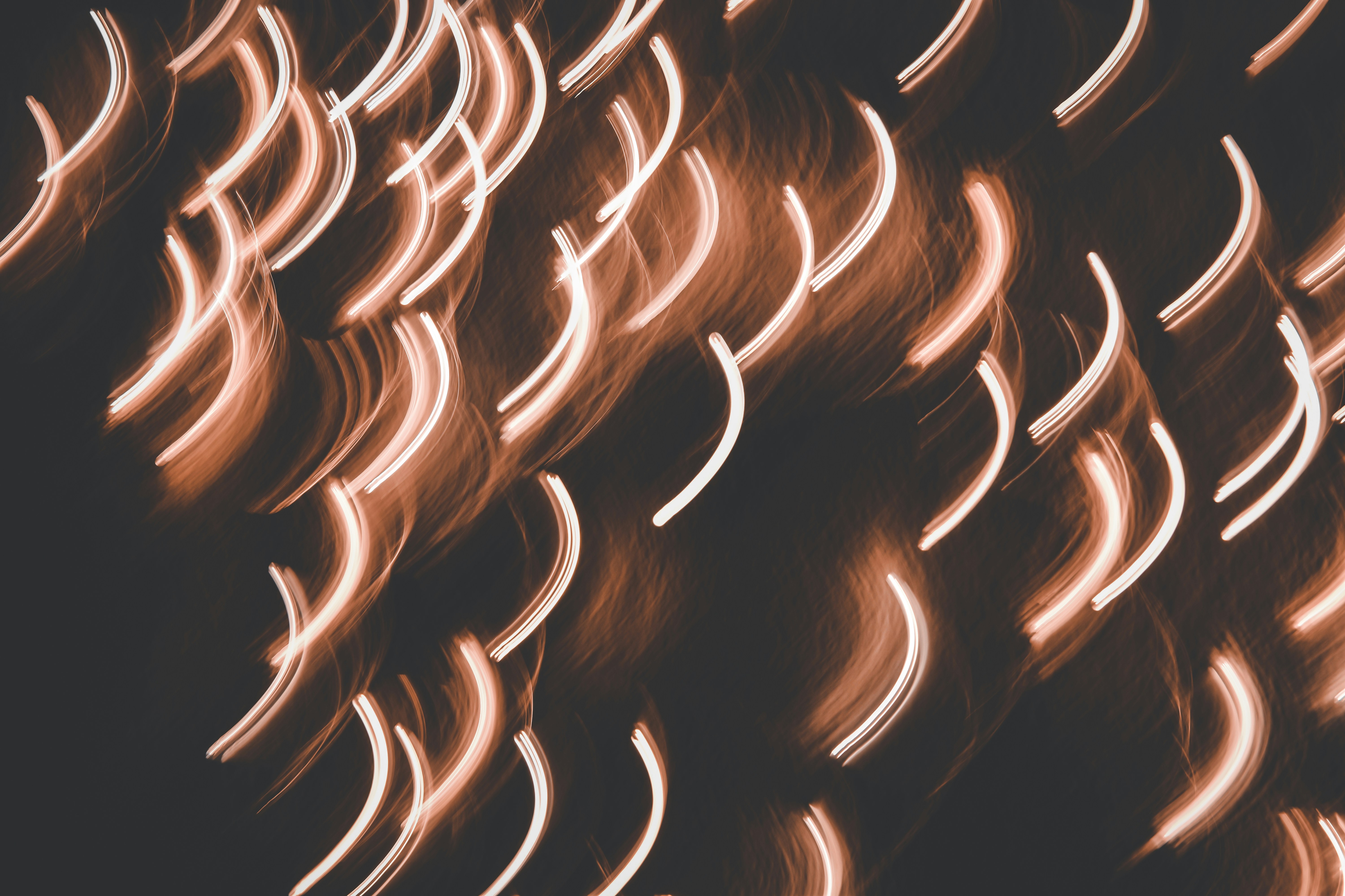 Photo by elliottmason