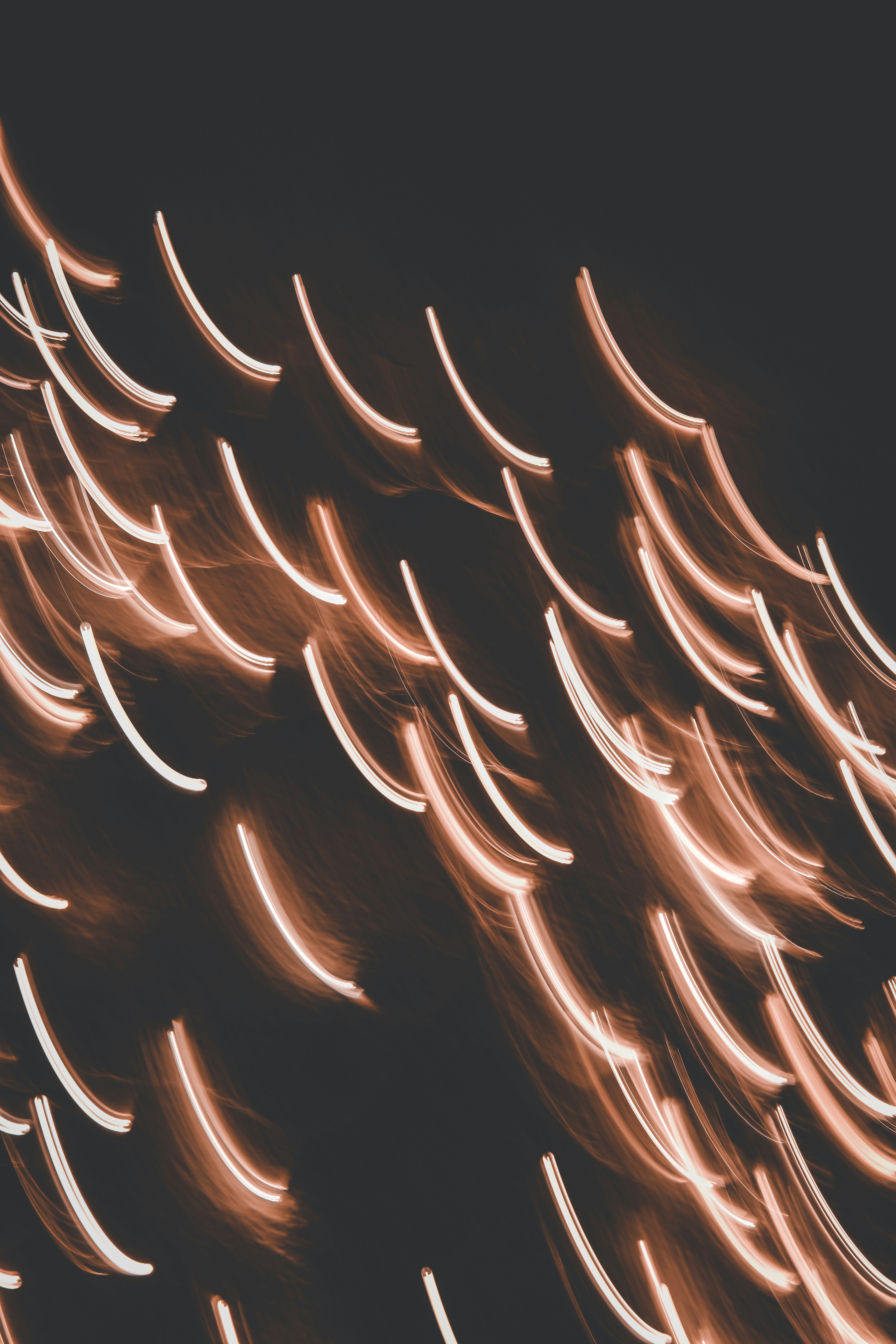 Photo by elliottmason