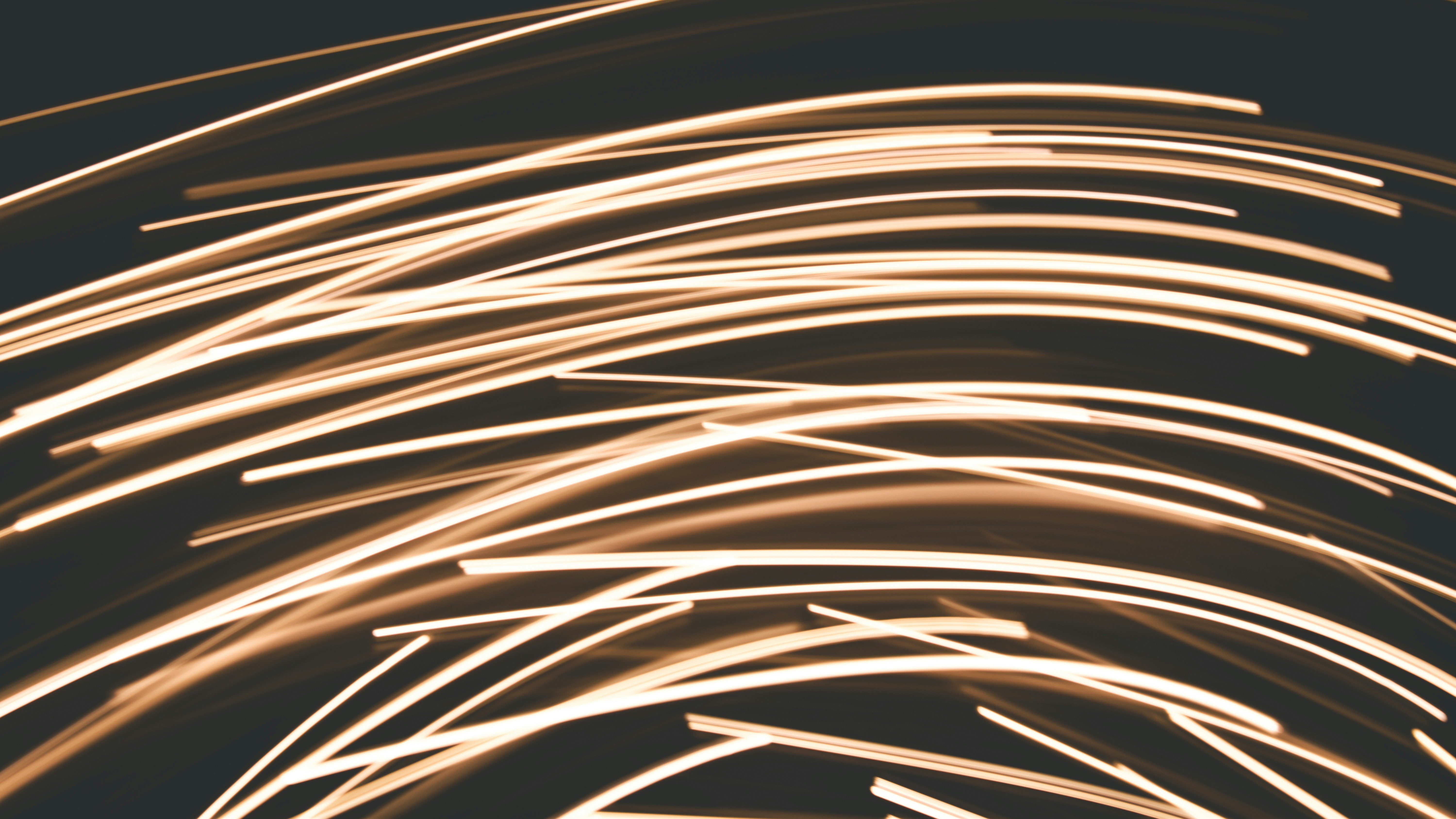 Photo by elliottmason