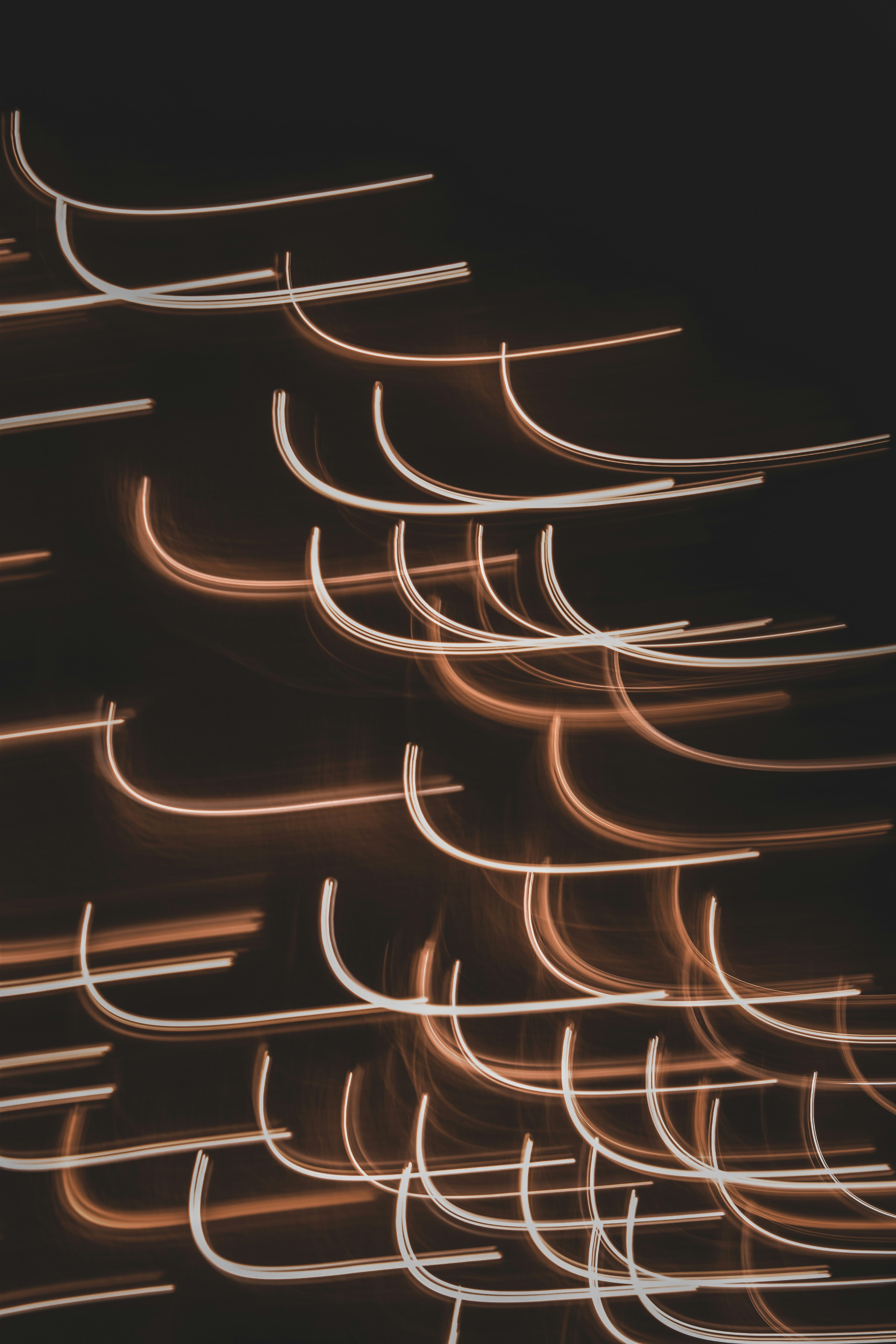 Photo by elliottmason