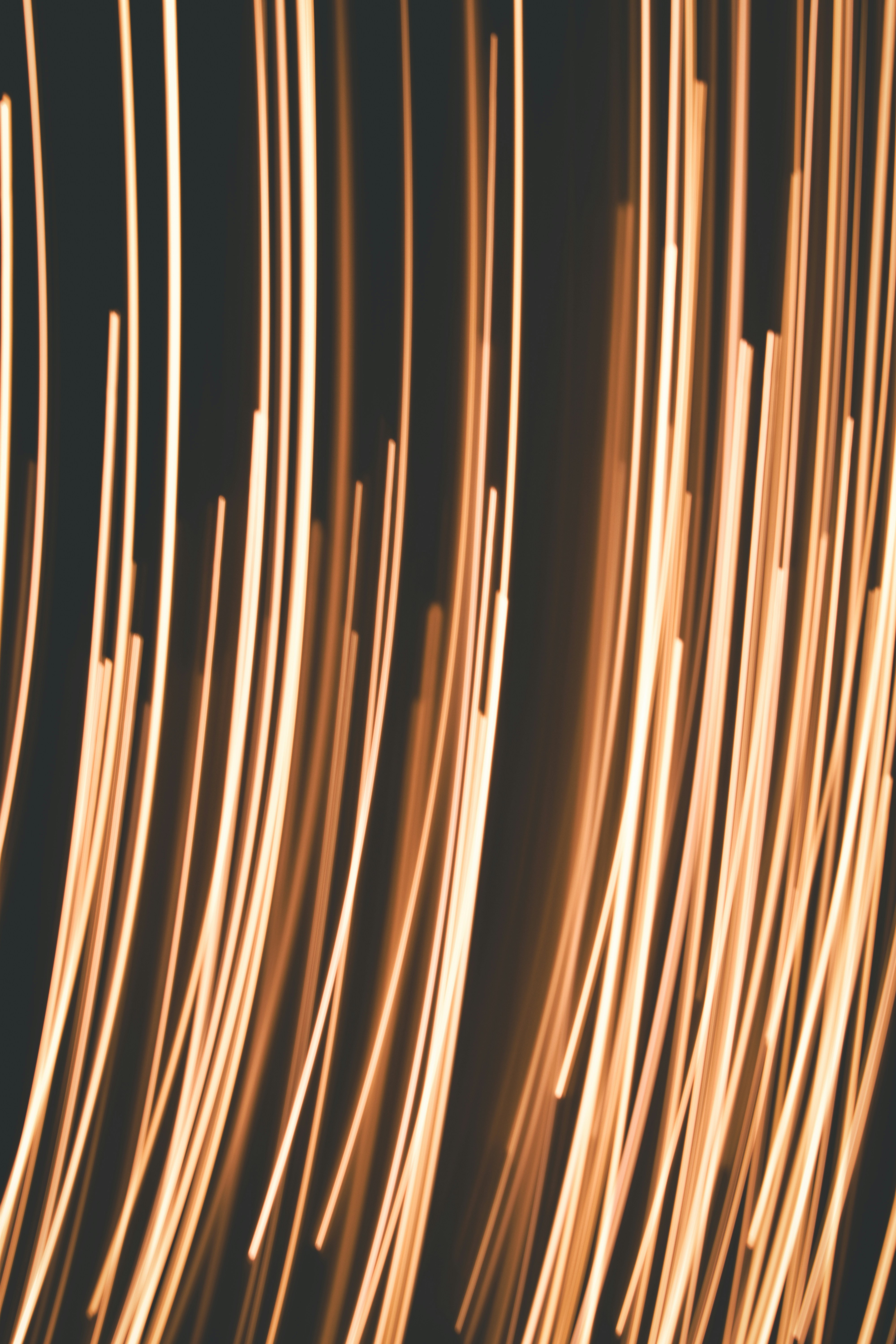 Photo by elliottmason