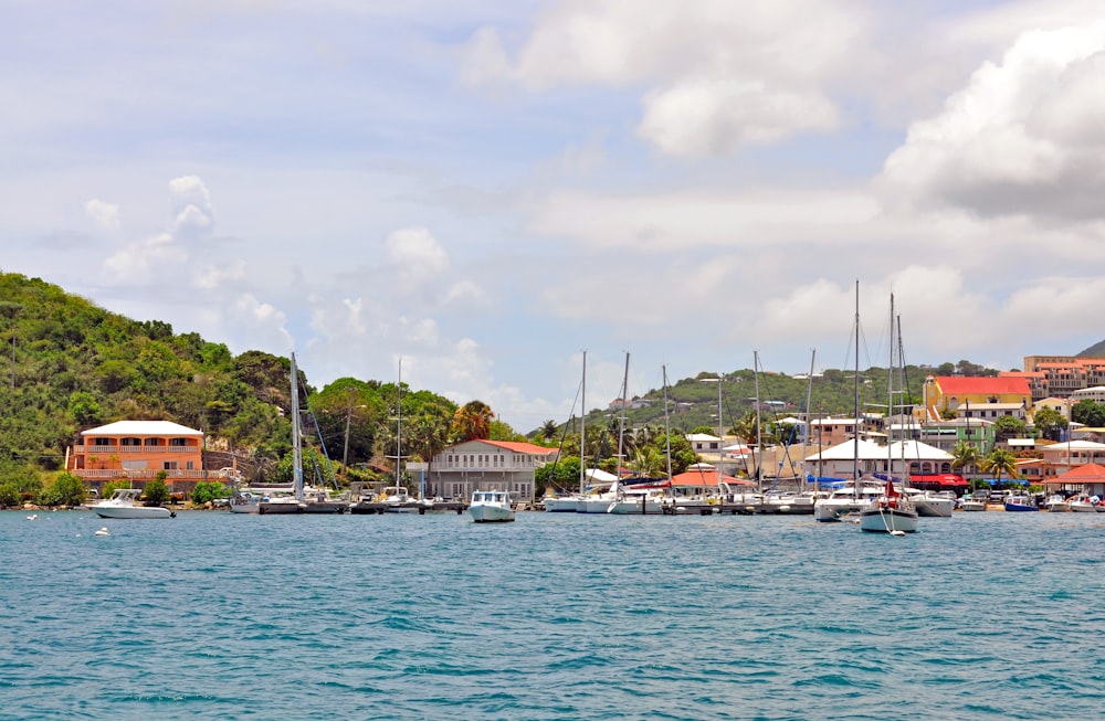 a body of water filled with lots of boats