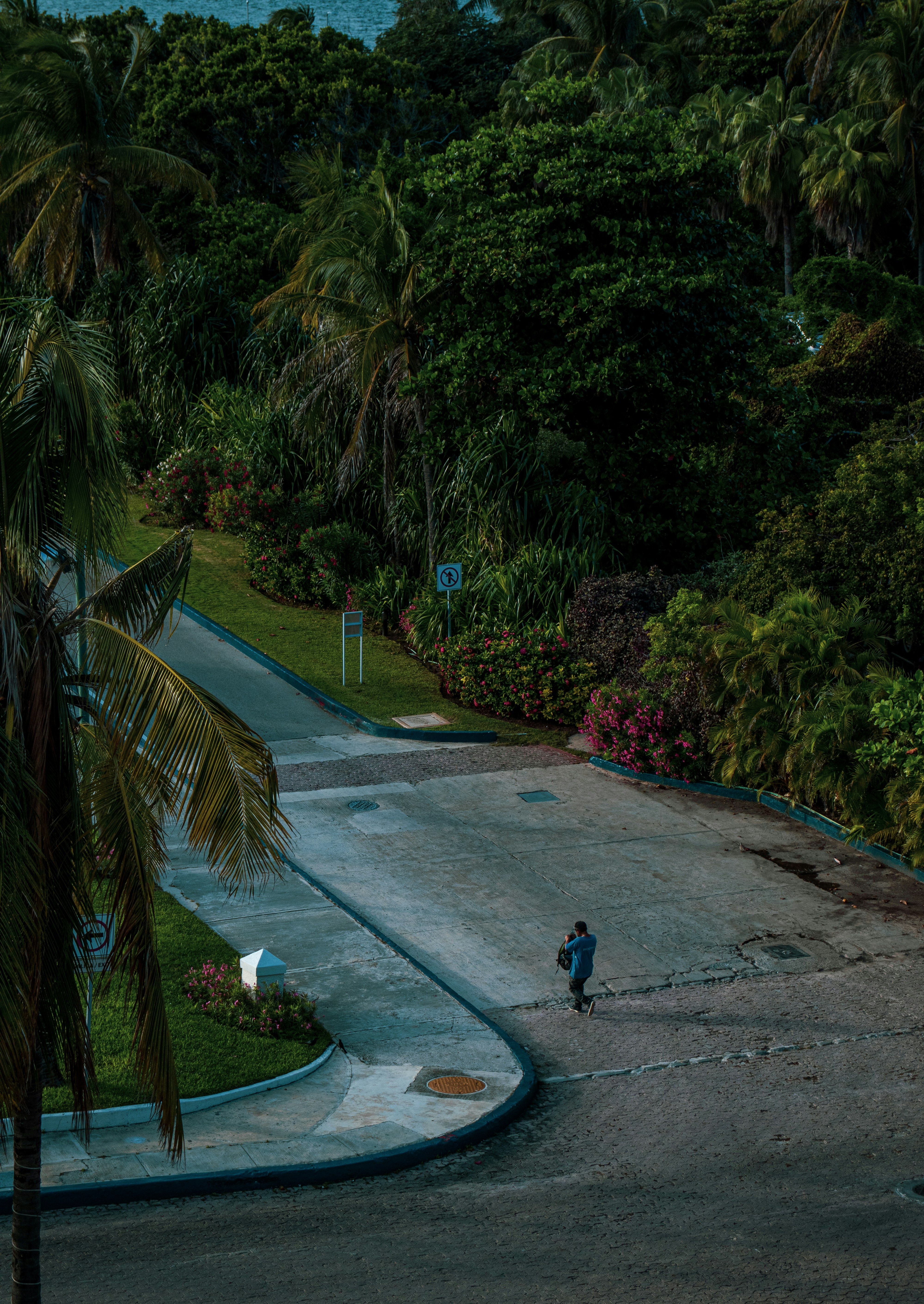 a person riding a skateboard down a street