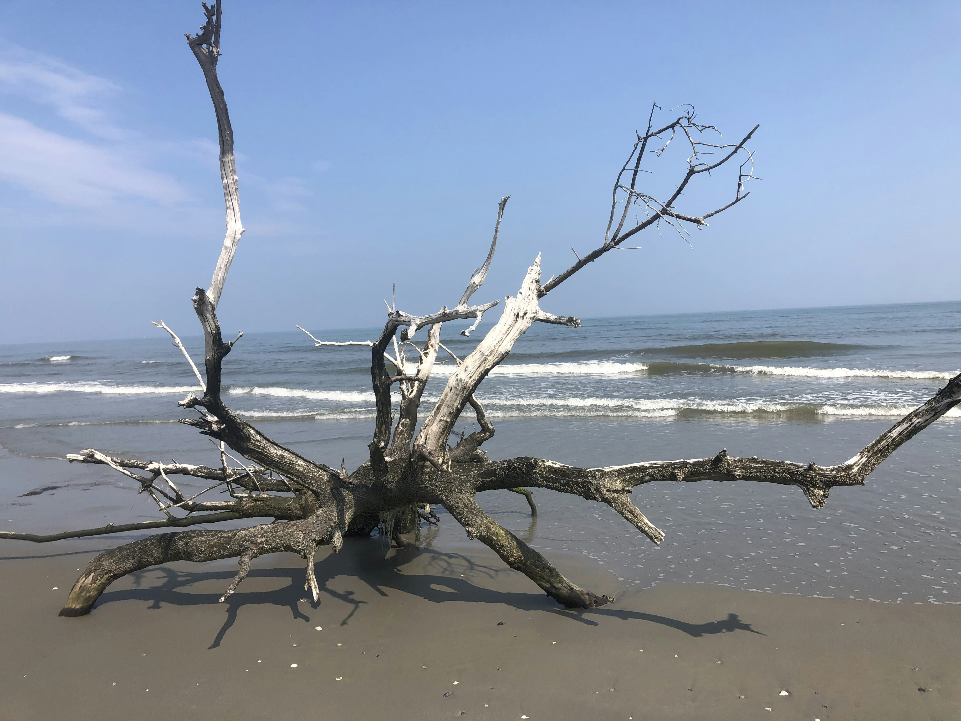 Photo by mhardison5