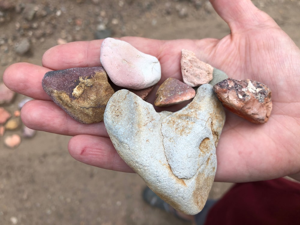 a person holding several rocks in their hand