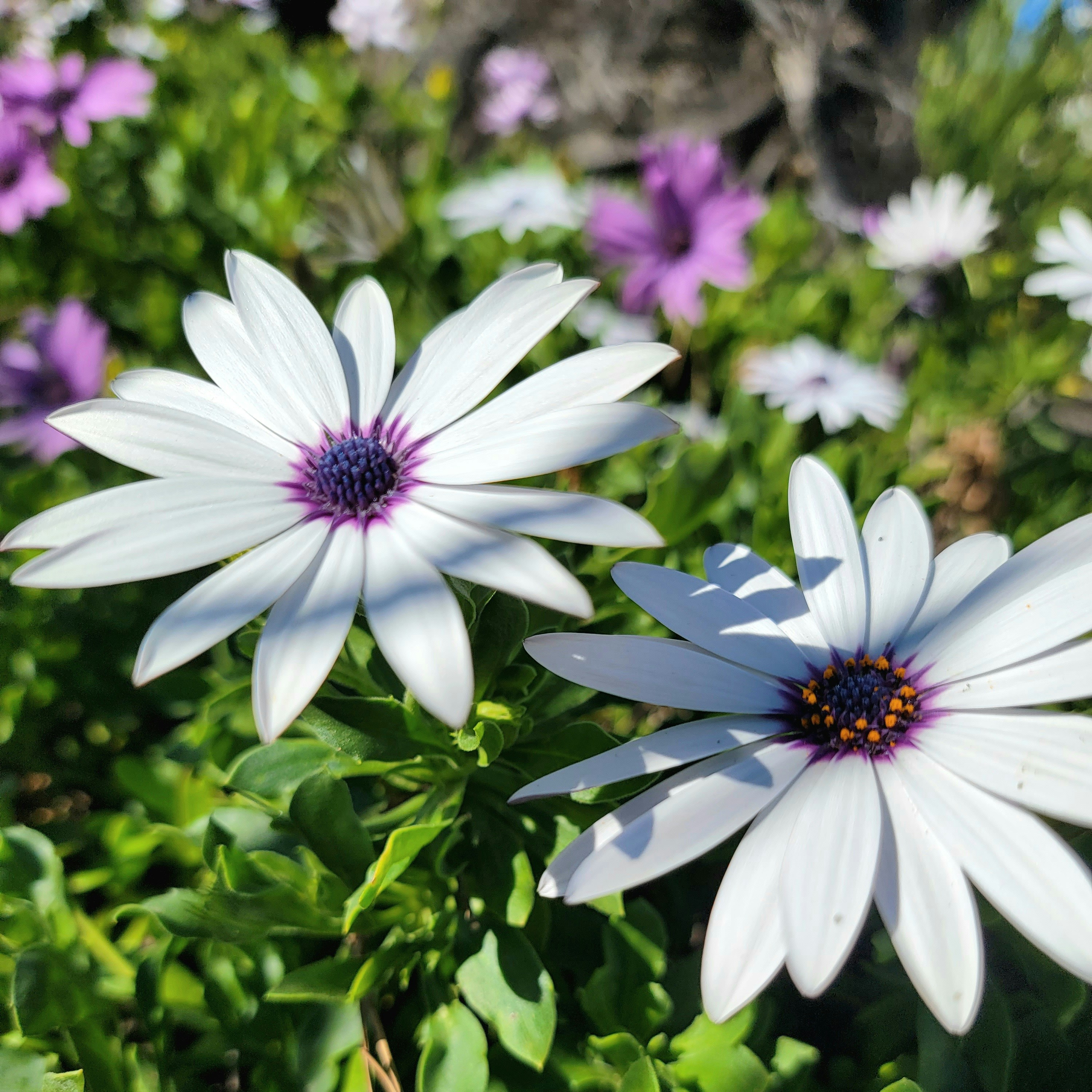 Photo by mrjuanderful