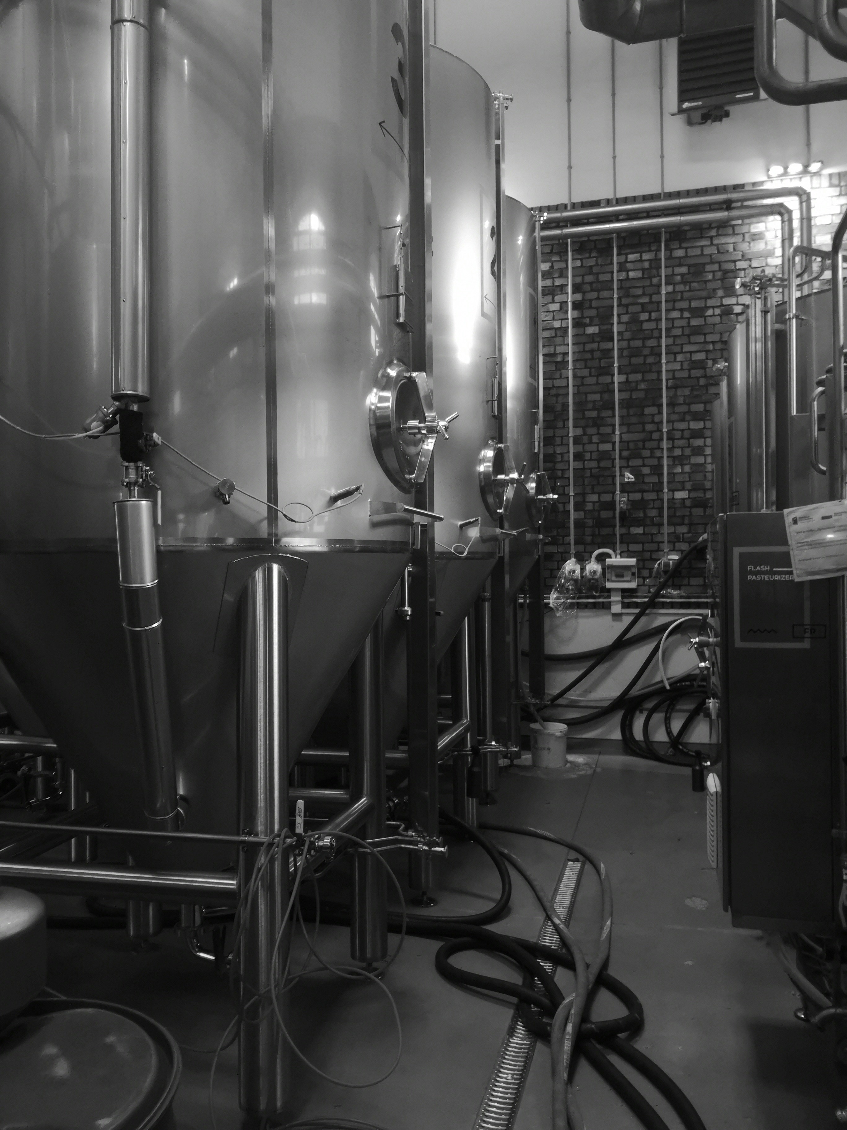 Photo by knuckles_echidna