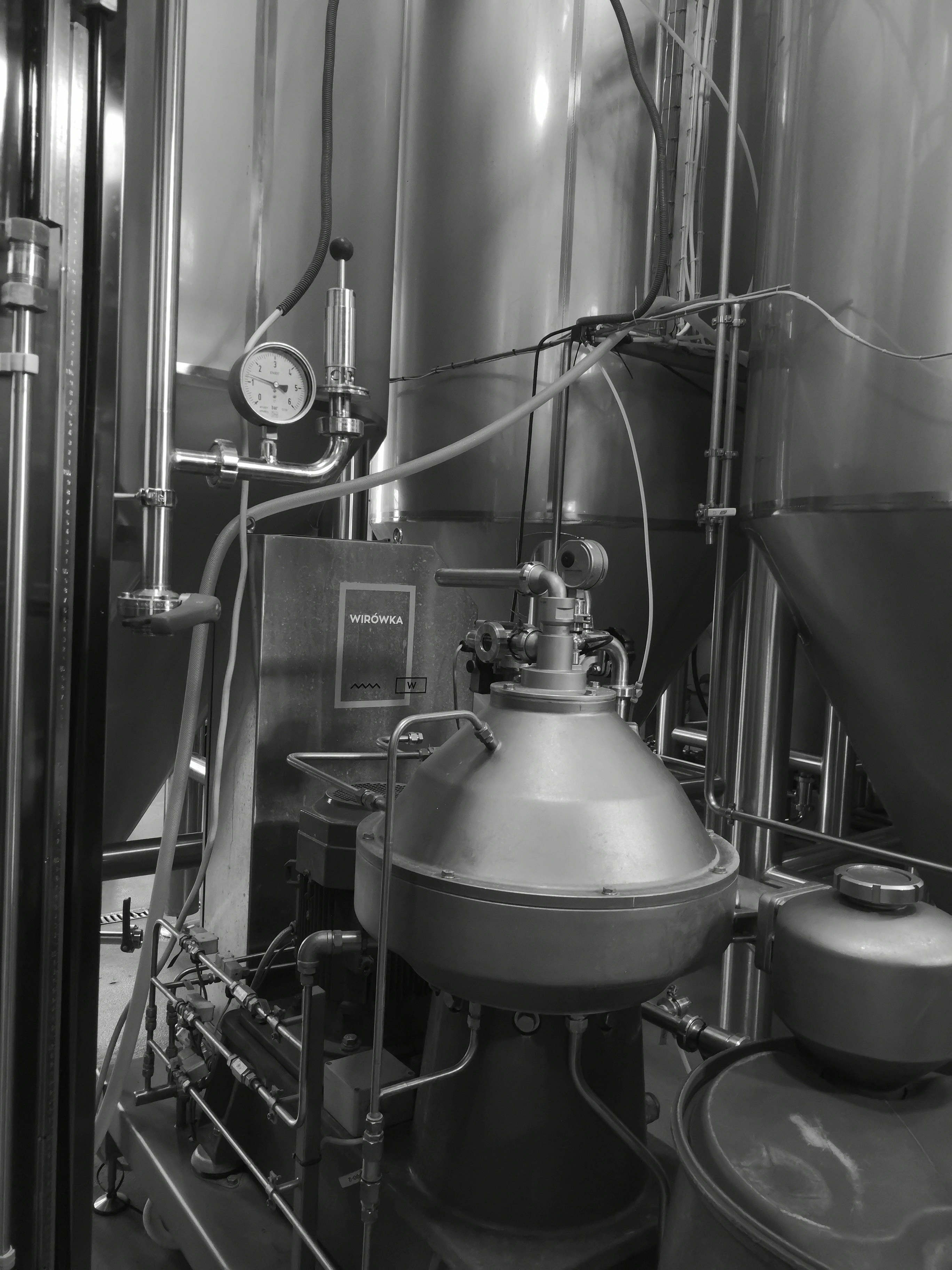 Photo by knuckles_echidna