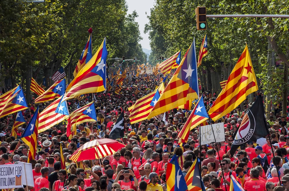 a large group of people holding flags and signs