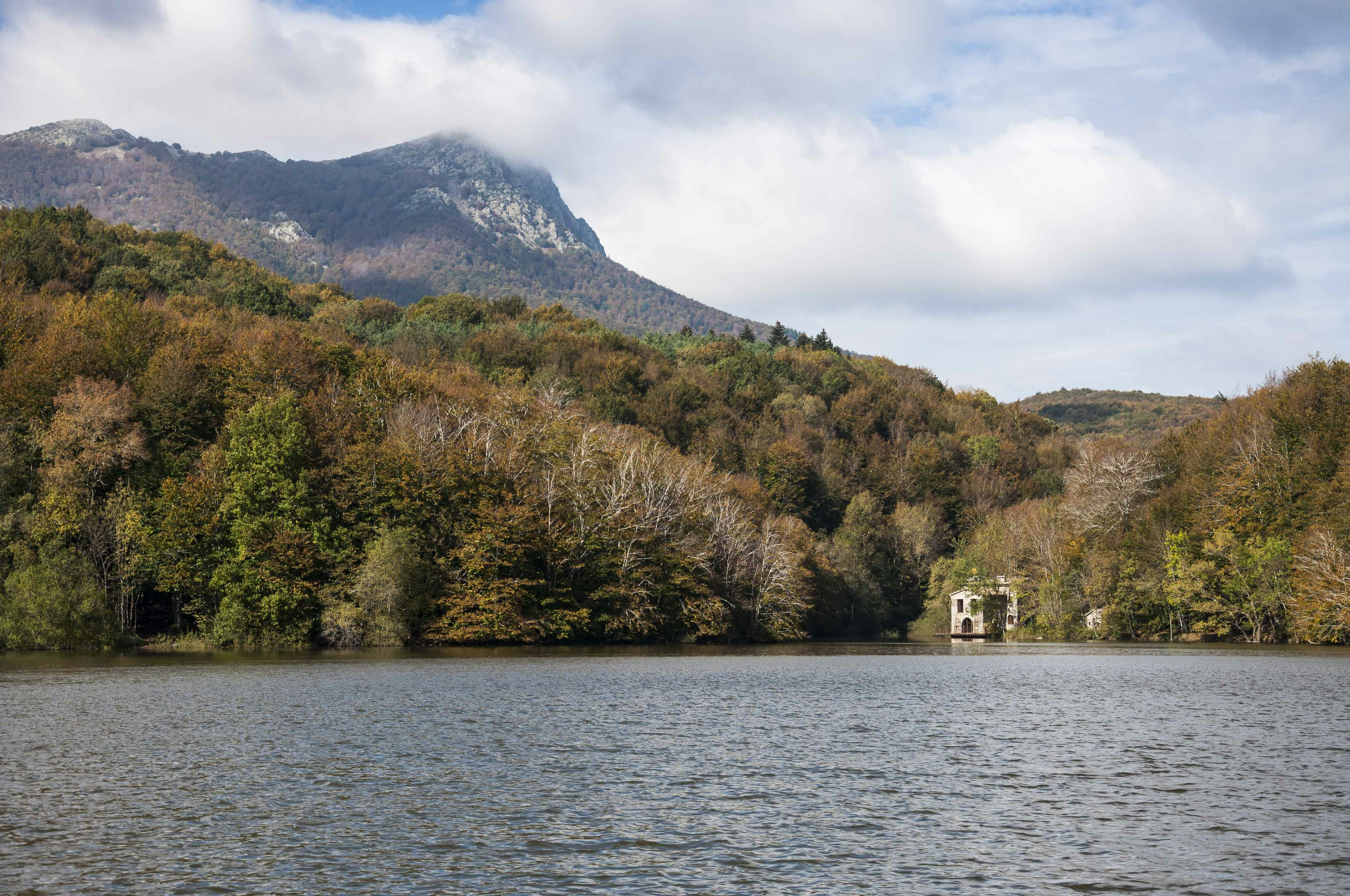 Un lago rodeado de árboles con una montaña al fondo