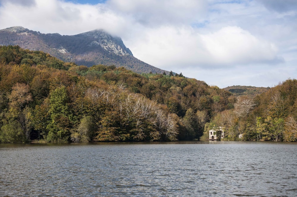 a lake surrounded by trees with a mountain in the background