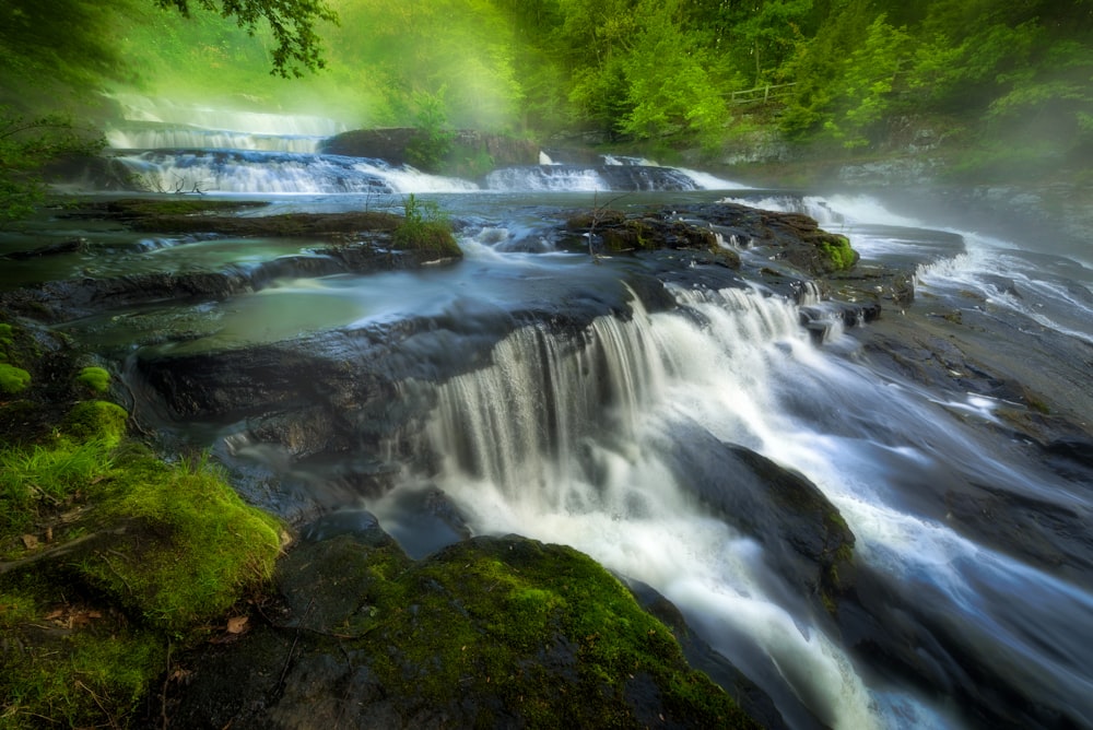 a waterfall in the middle of a lush green forest