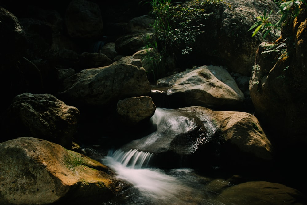 a stream of water running through a lush green forest