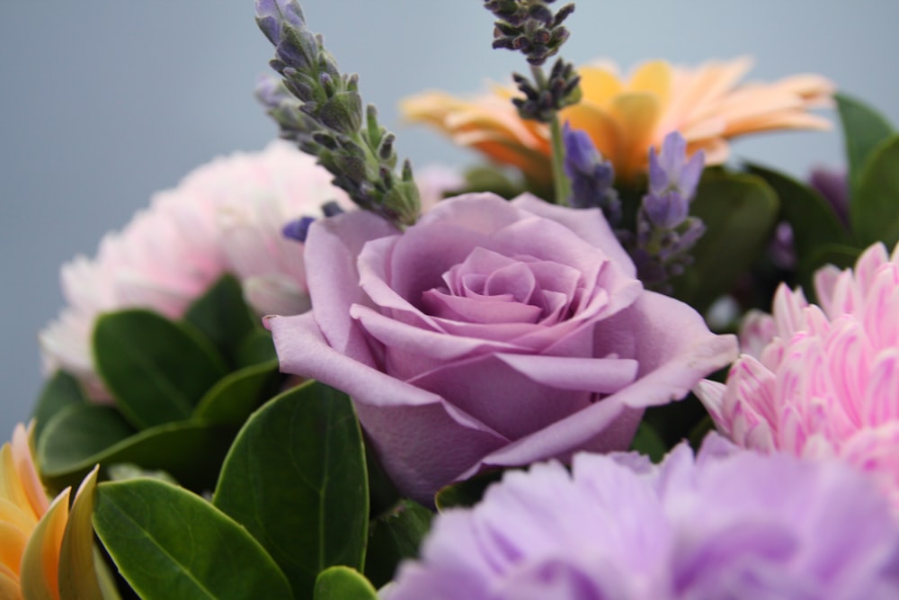 a close up of a bouquet of flowers