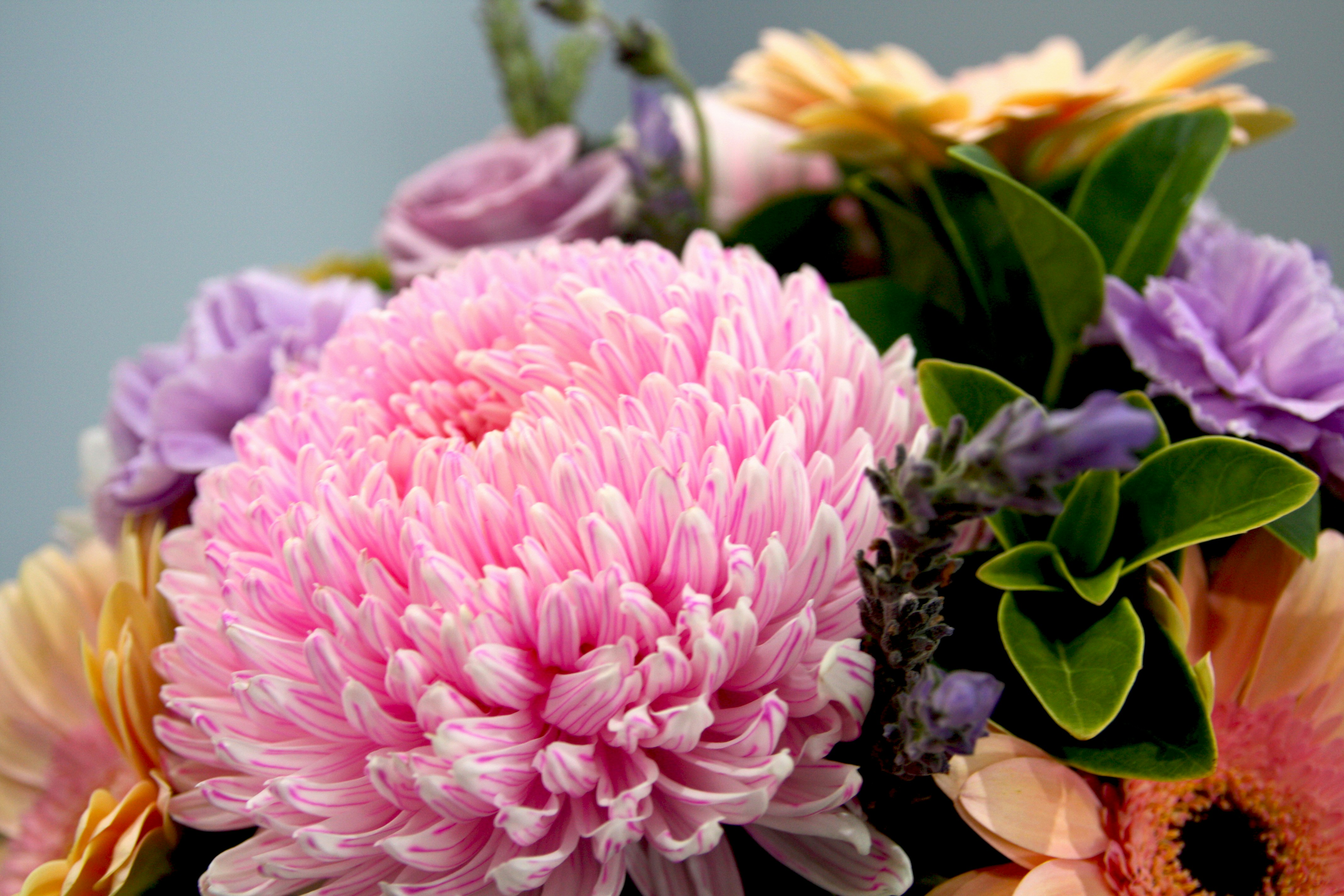 Photo by giuseppinaphotography