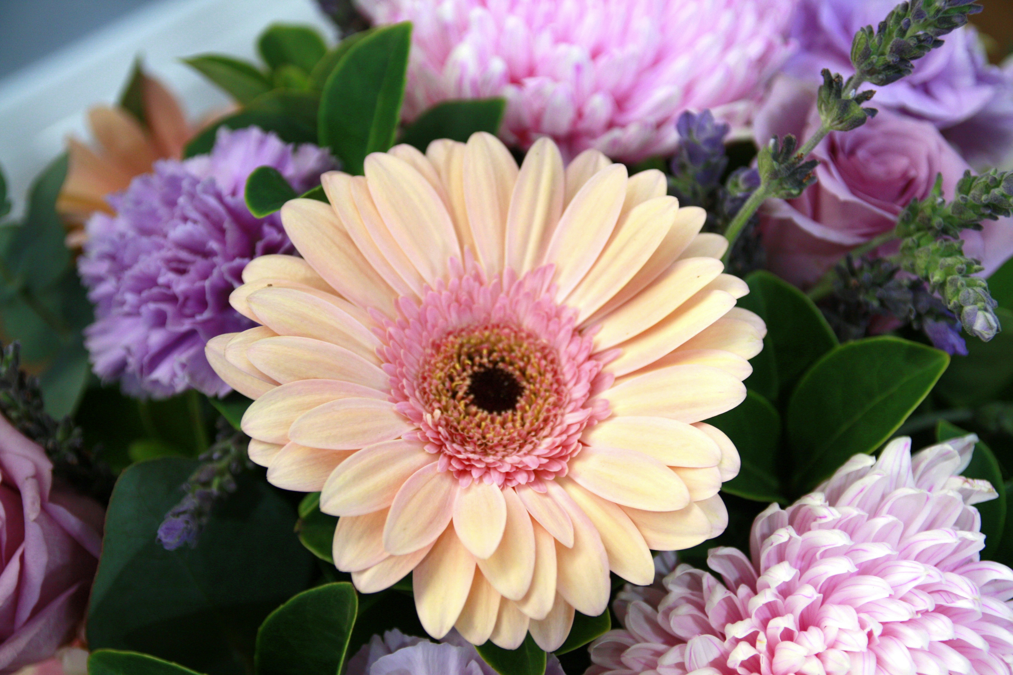 Photo by giuseppinaphotography