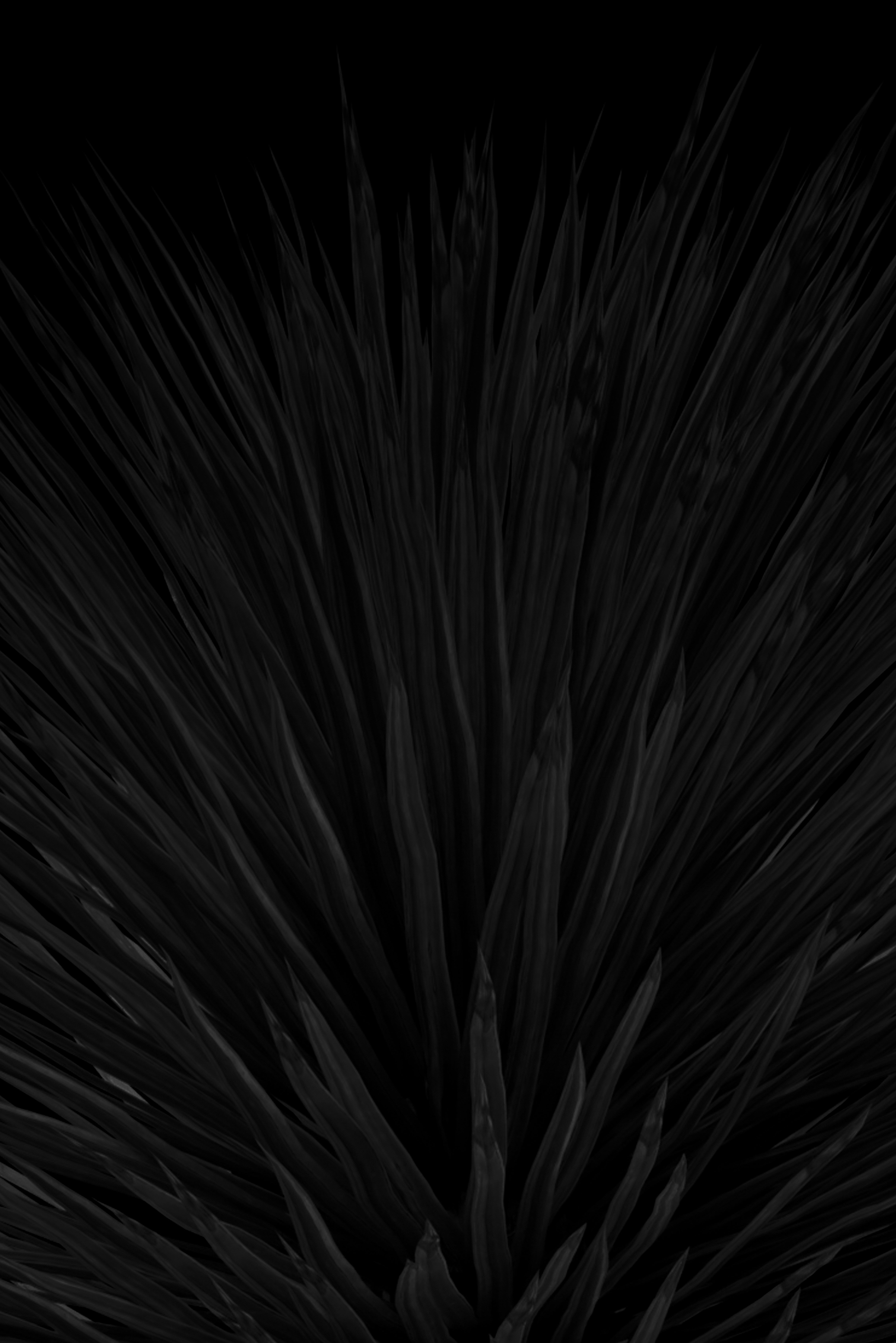 impact de rarete et FOMO