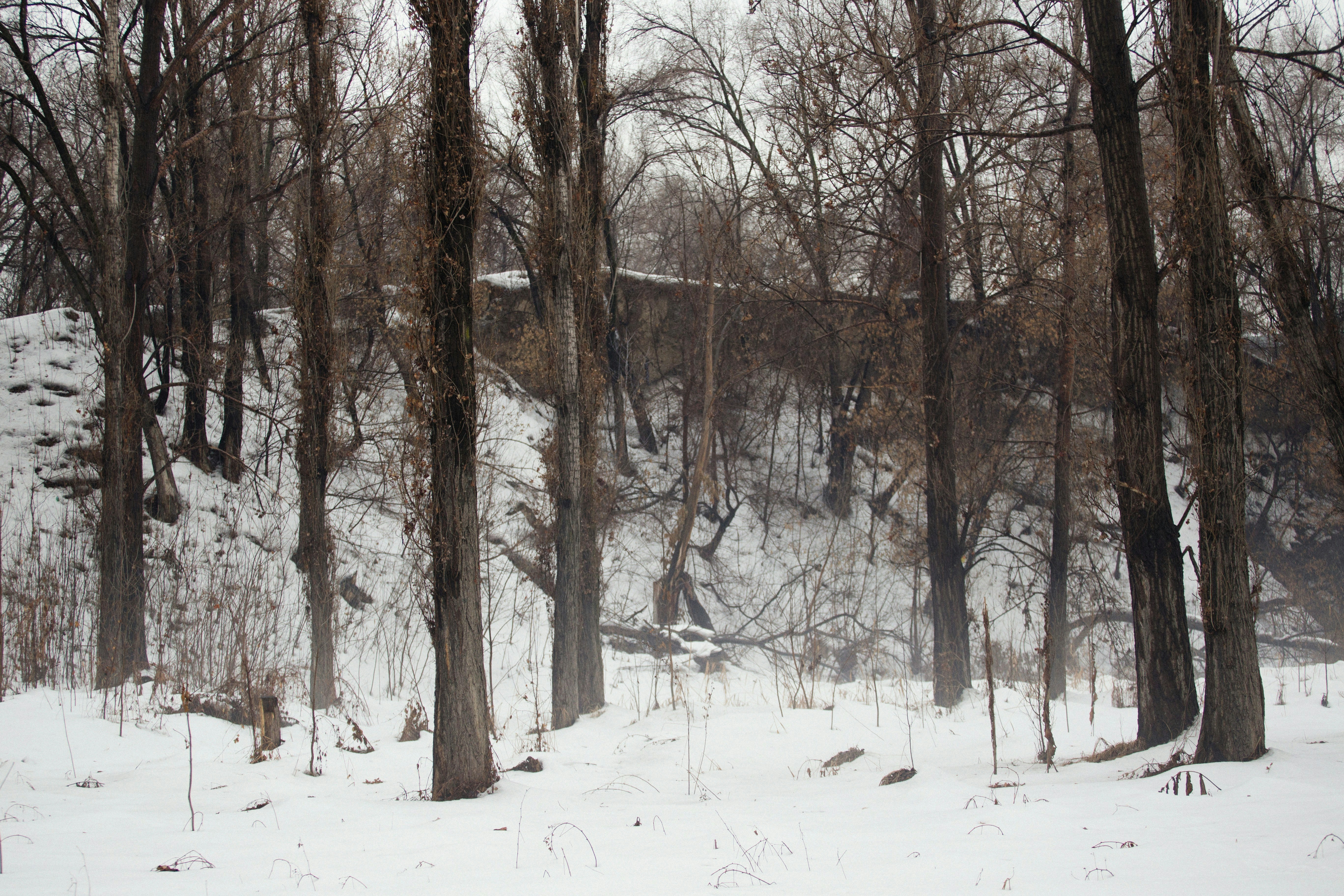 Photo by alexeydemidov