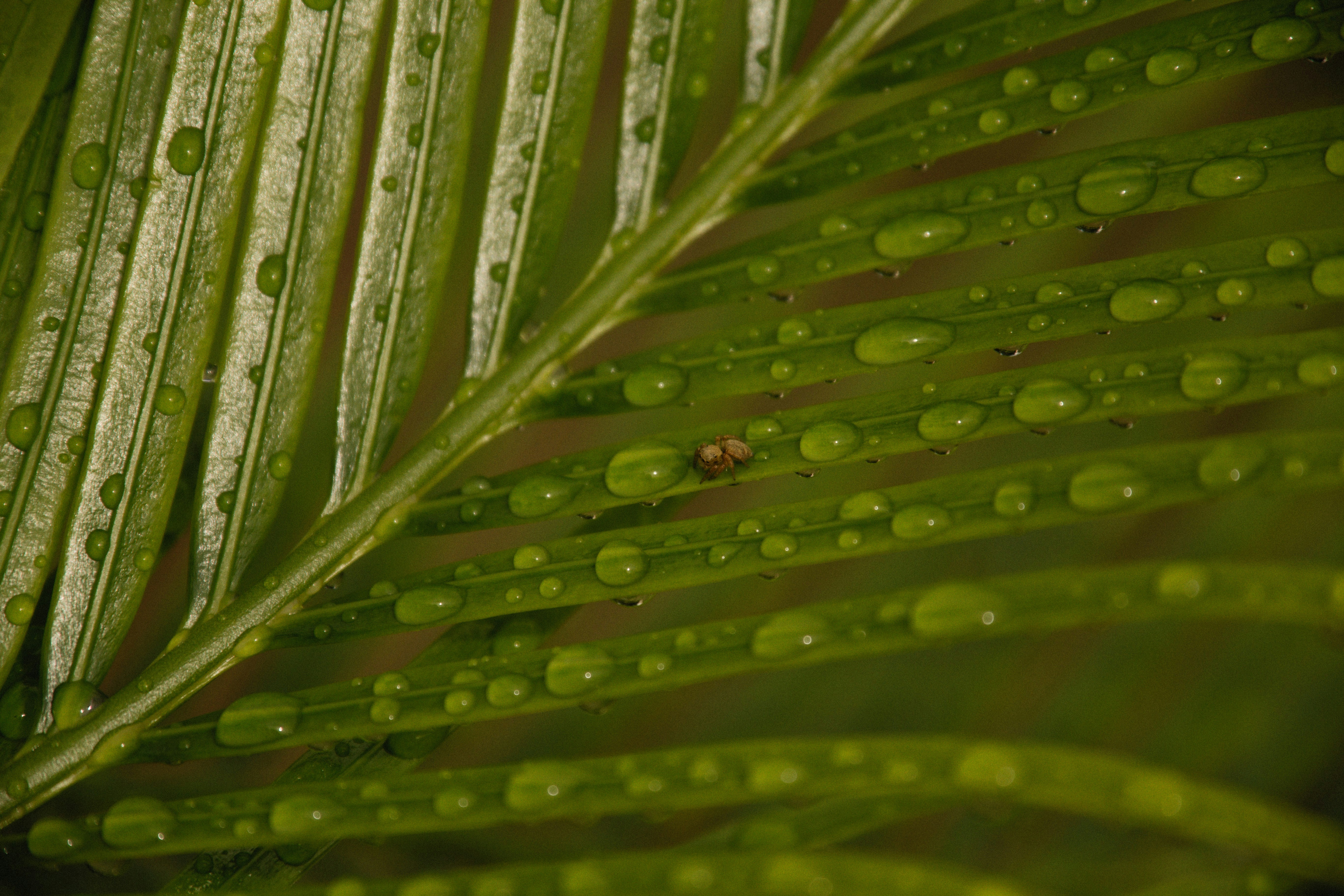 Photo by alexeydemidov