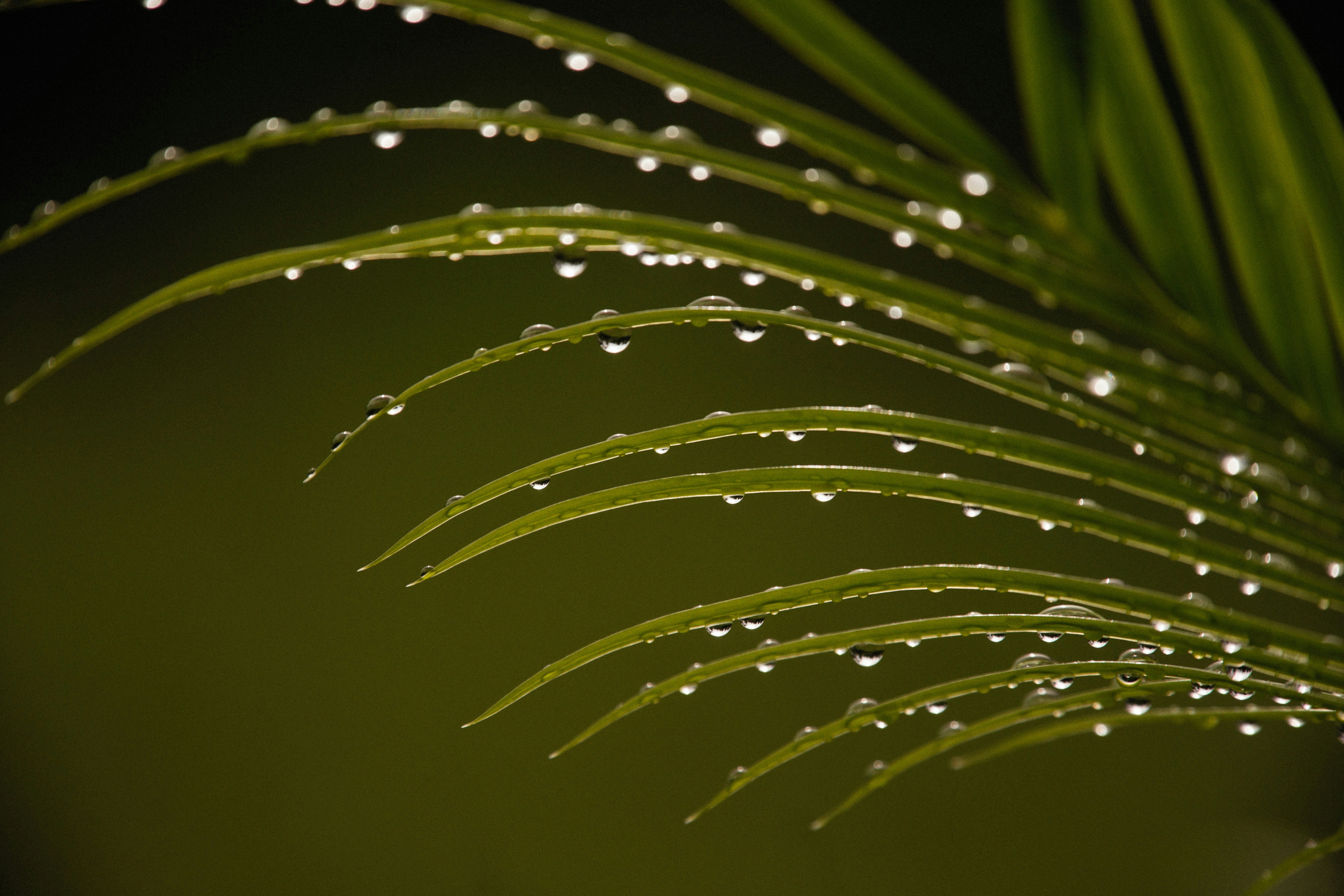 Photo by alexeydemidov