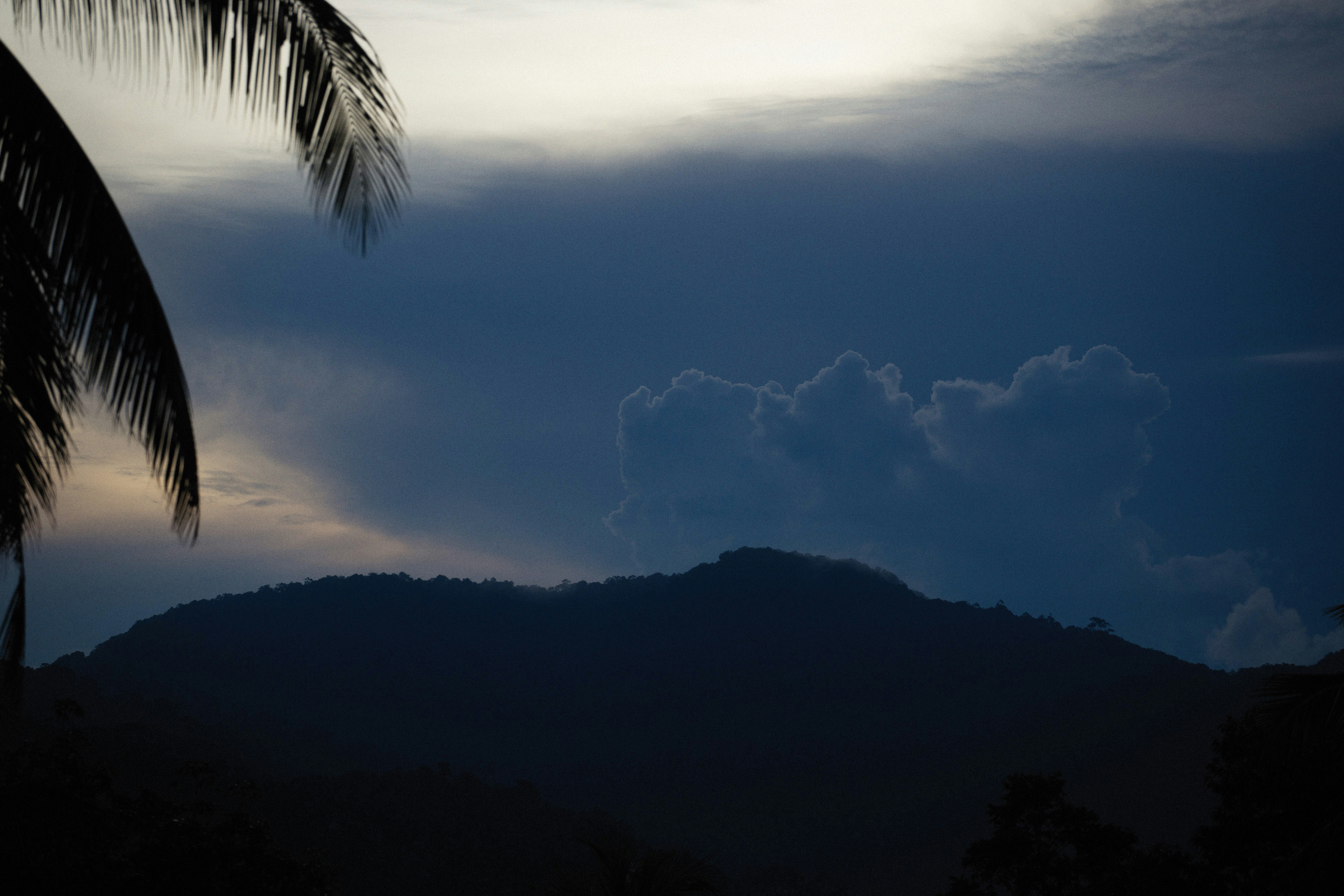 Photo by alexeydemidov