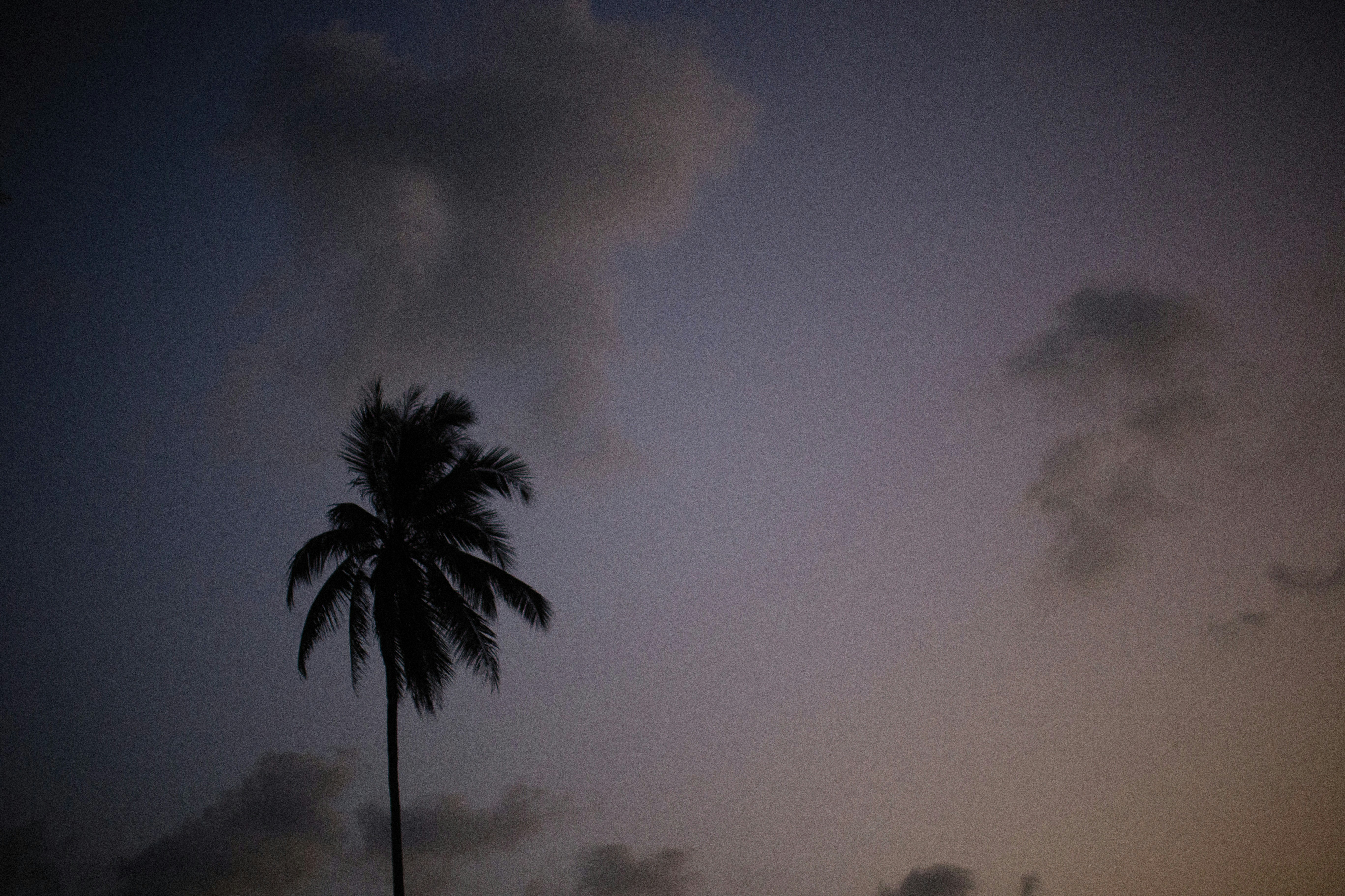 Photo by alexeydemidov