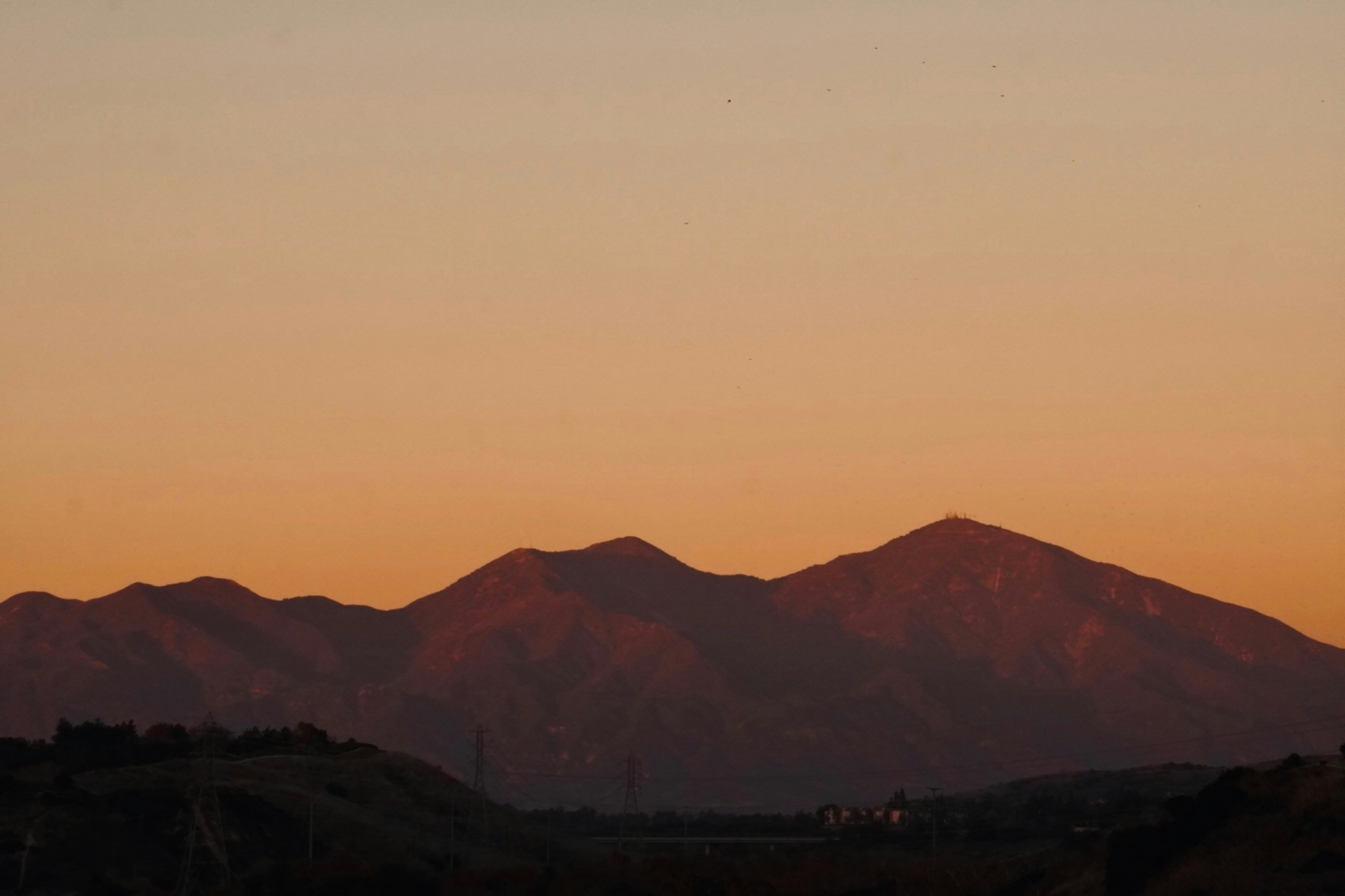 Photo by cdsaunders04