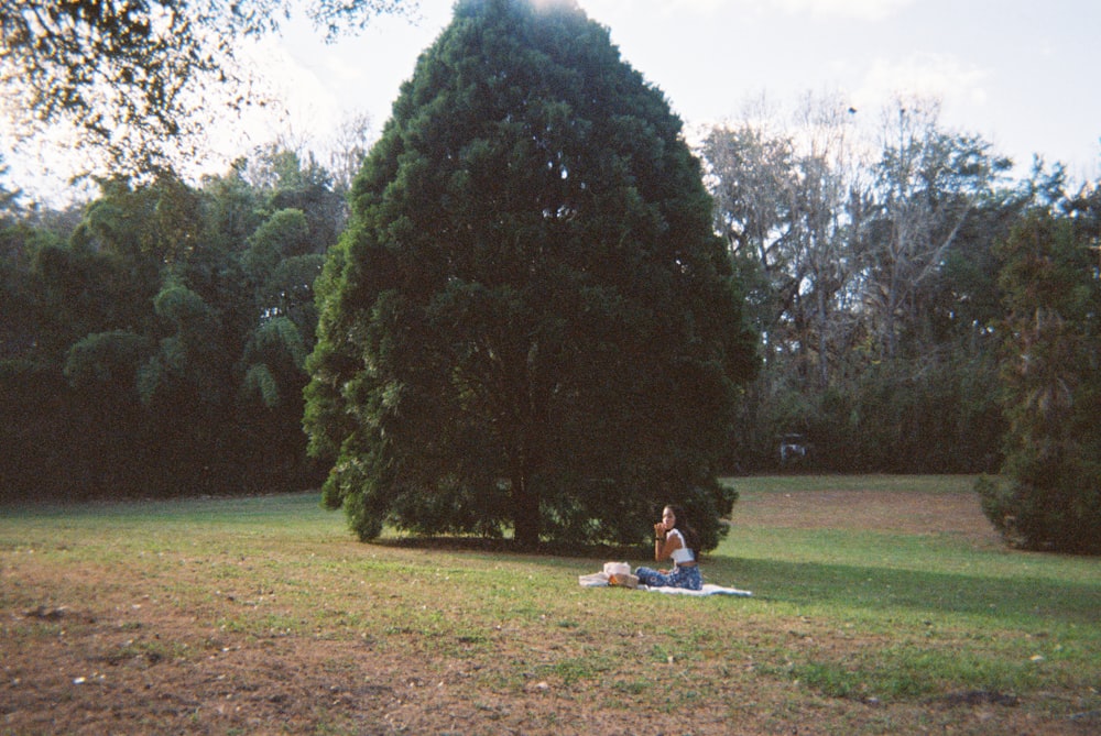 a person sitting on a blanket in a field next to a tree