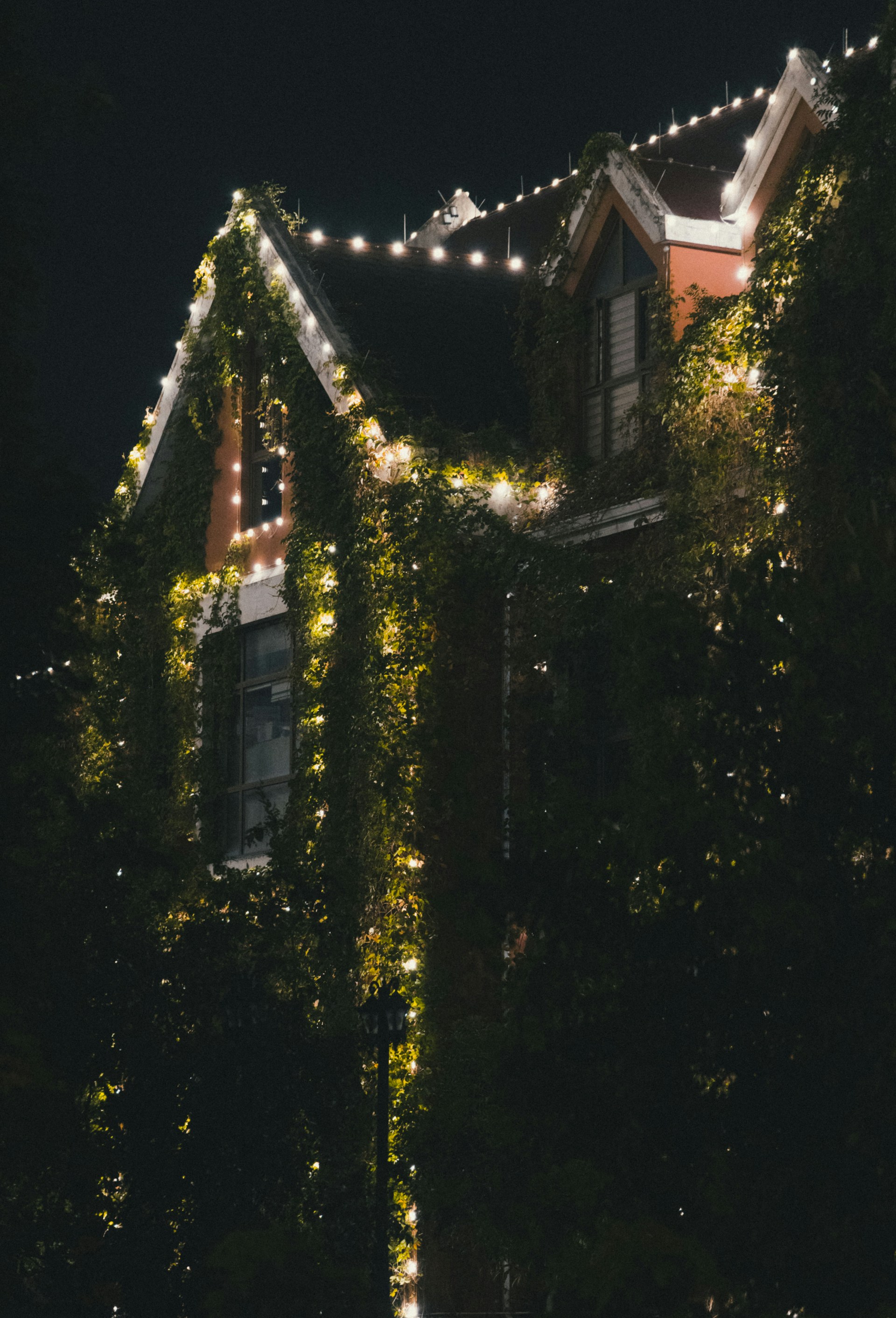 a house covered in vines and lights at night
