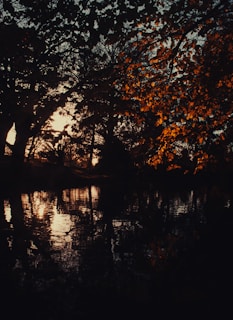 A serene lakeside reflection of autumn trees glowing in warm light.