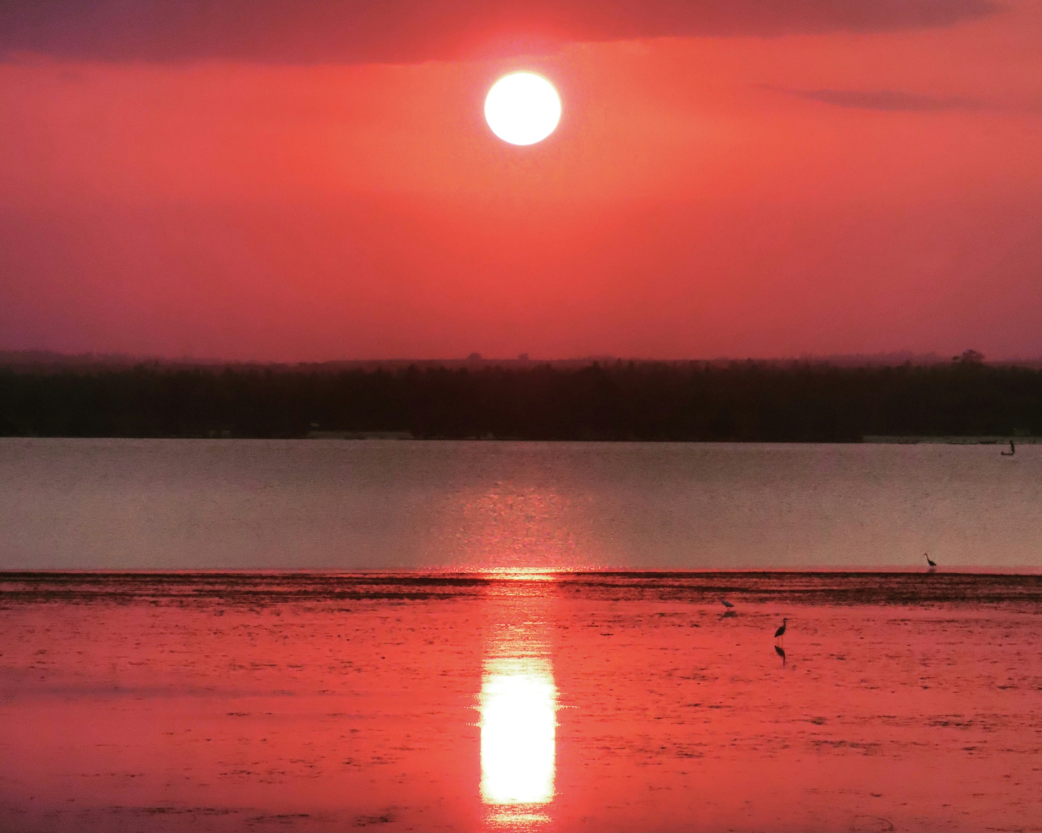 il tramonto su diani beach in kenya, una delle spiagge più belle del mondo