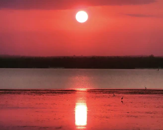 Diani Beach Kenya white sand Indian Ocean travel guide 2026