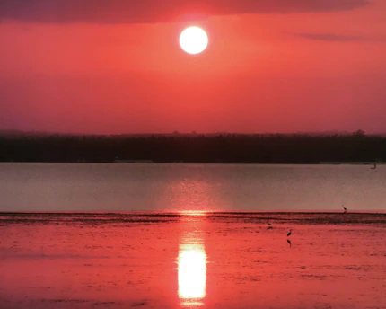 Diani Beach Kenya white sand Indian Ocean travel guide 2026