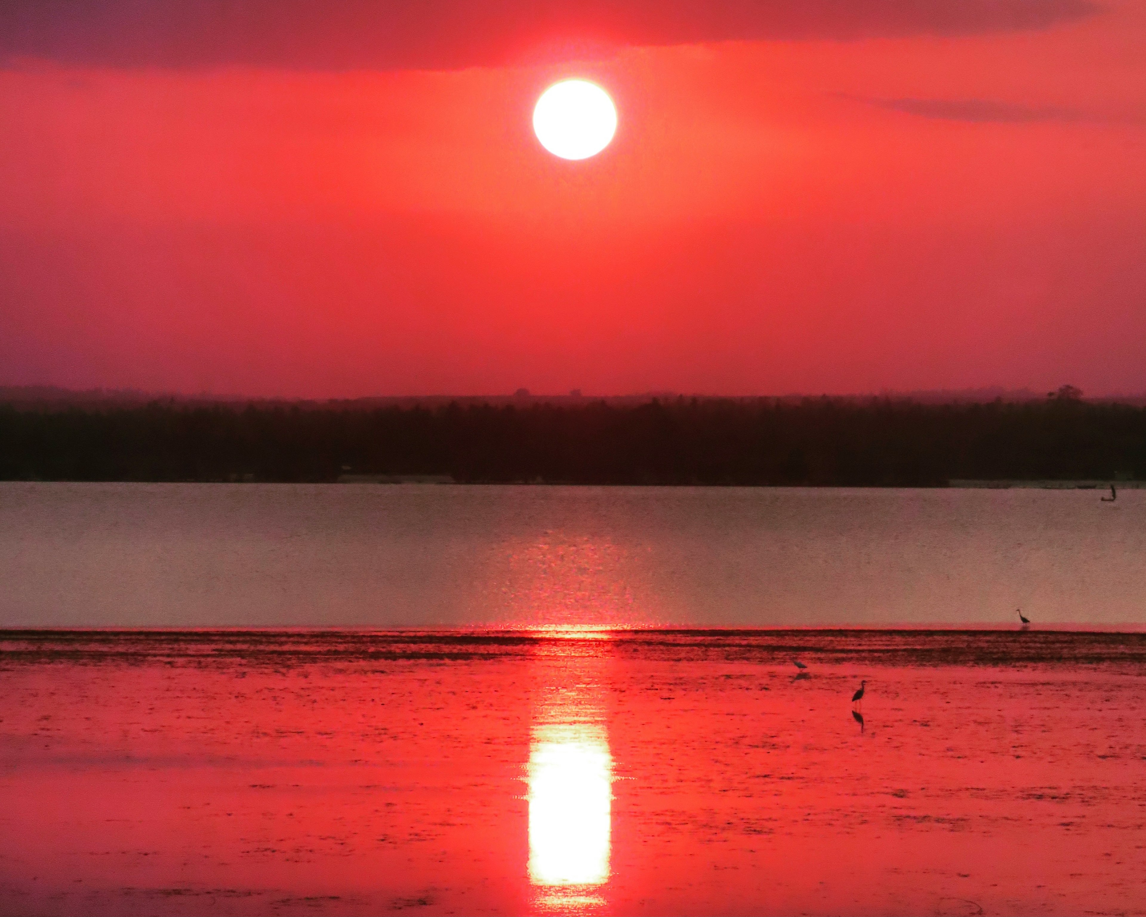 il tramonto su diani beach in kenya, una delle spiagge più belle del mondo