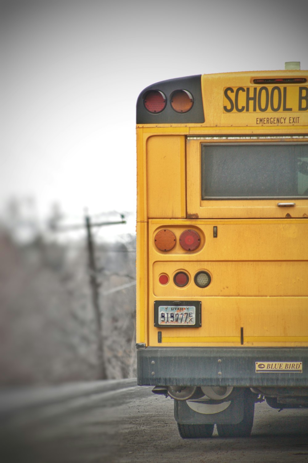 a yellow school bus parked on the side of the road