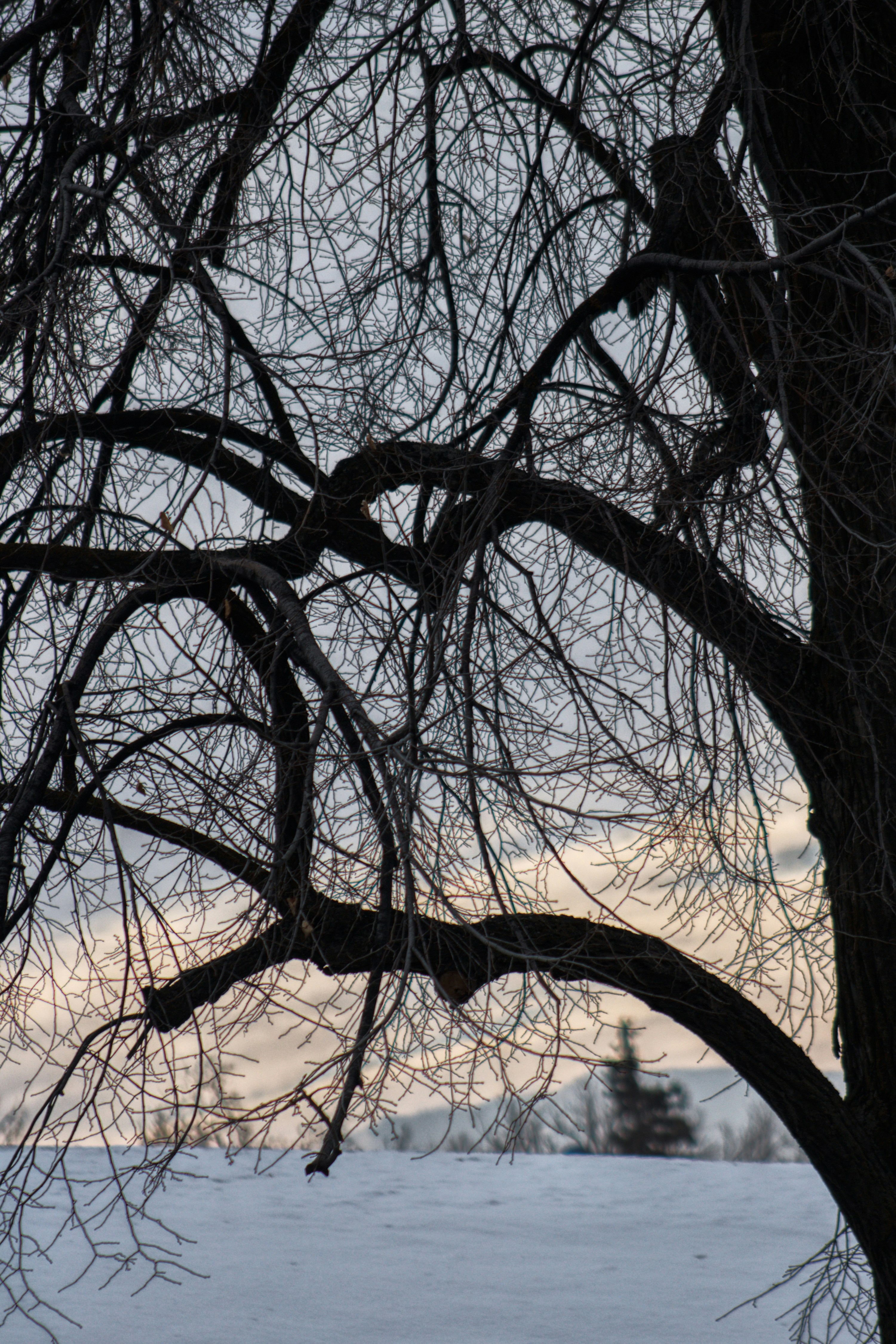 Photo by joshua_hoehne