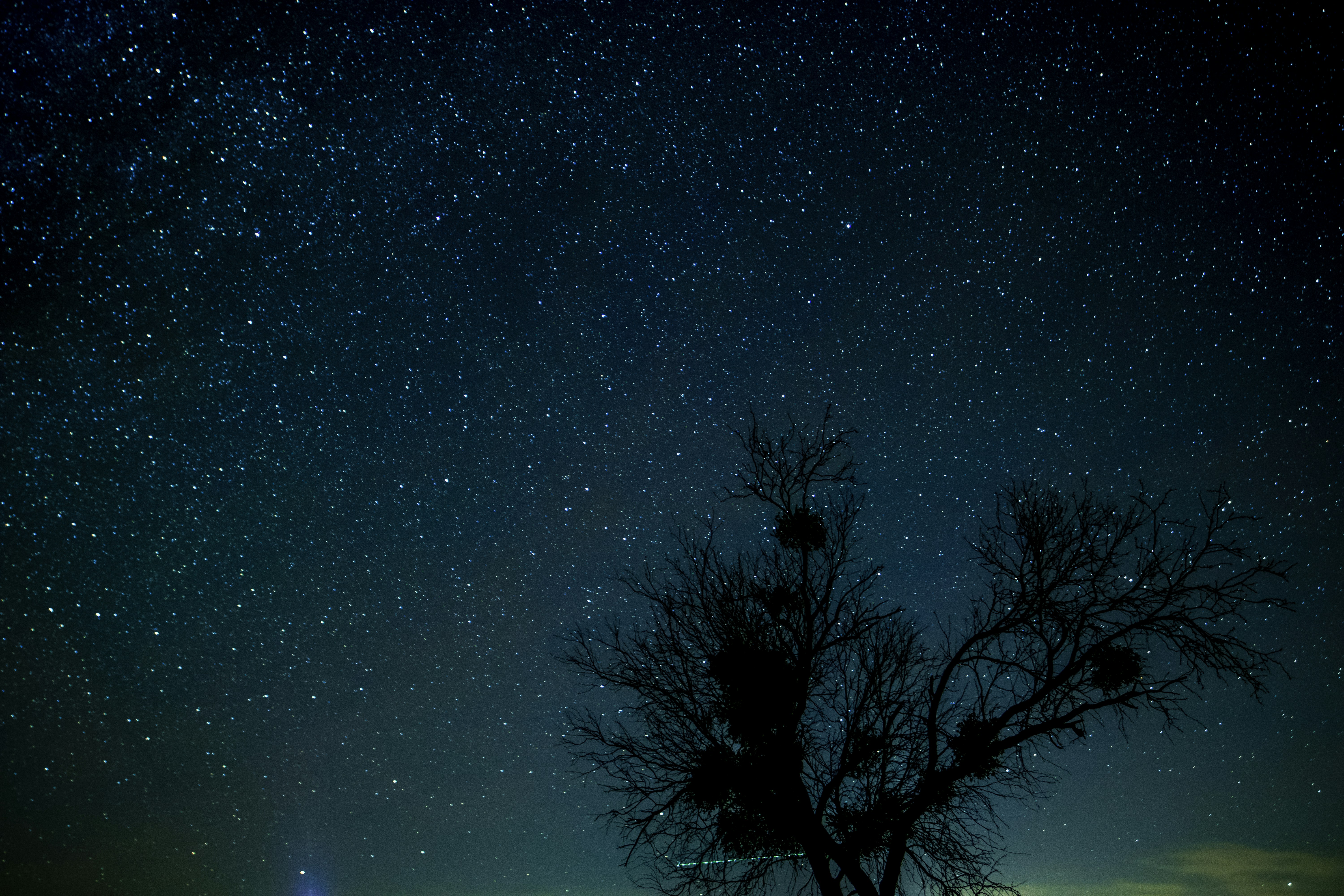 Photo by gabrielrana