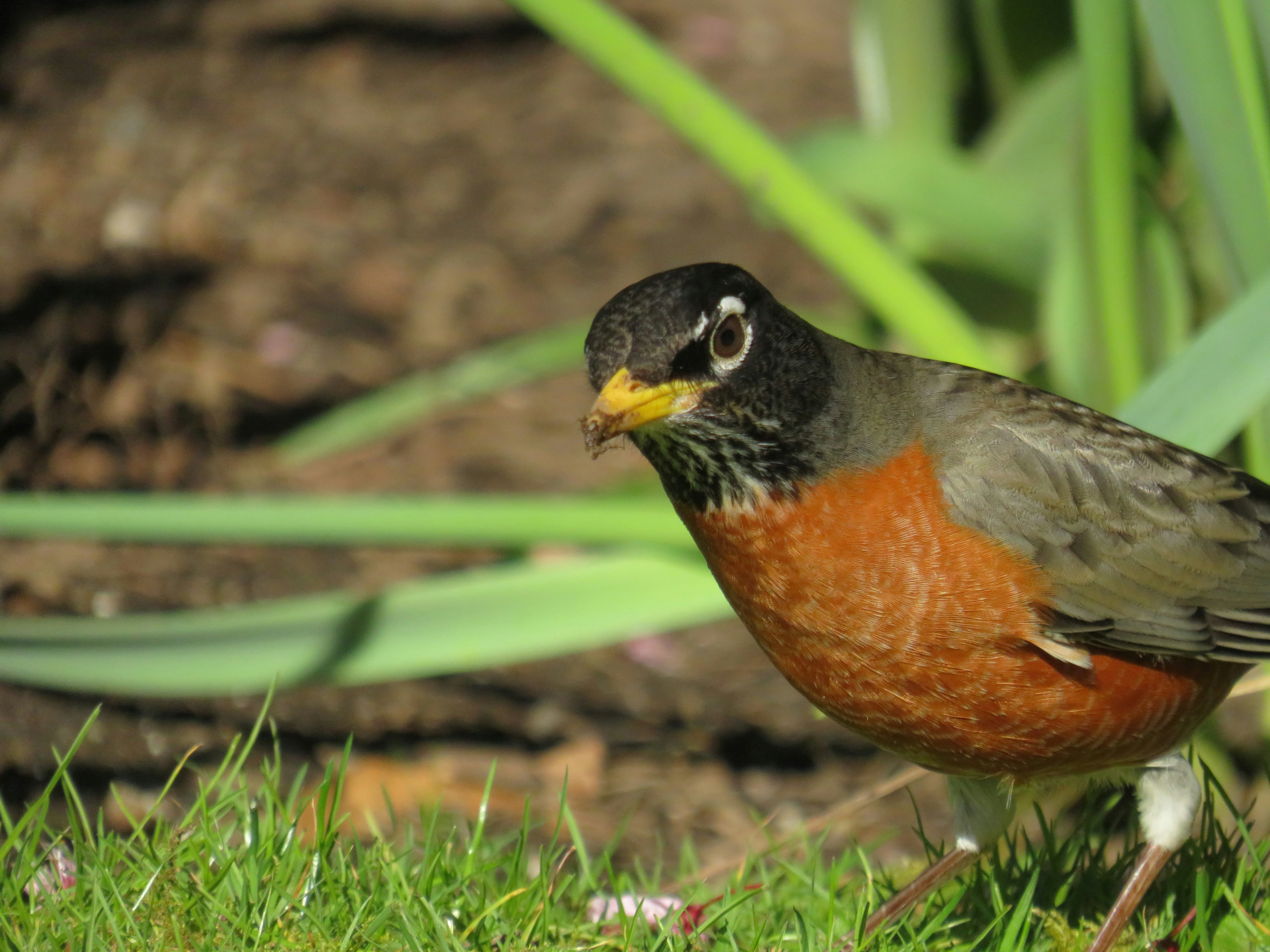 Photo by albertstoynov