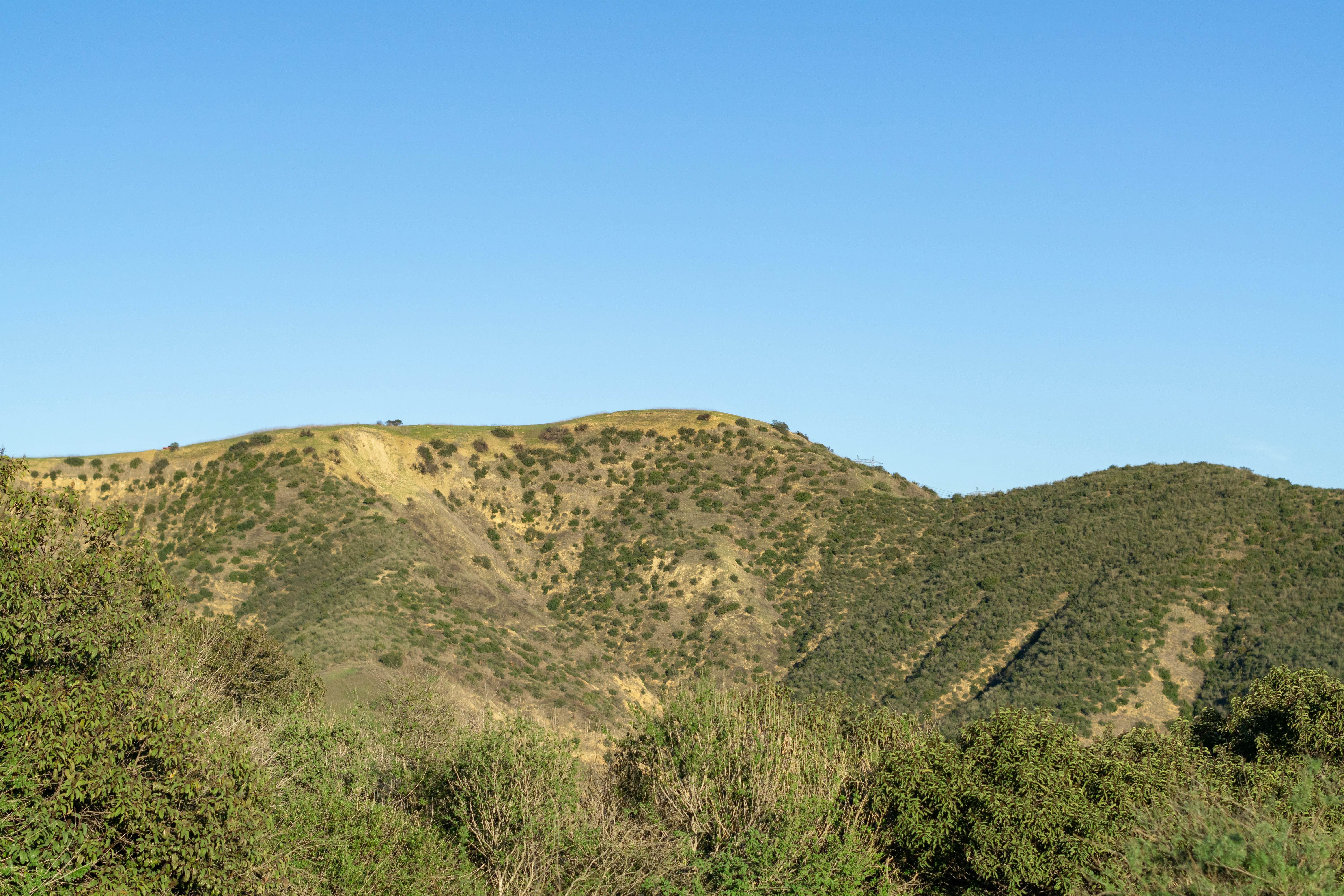 Photo by spencer_demera