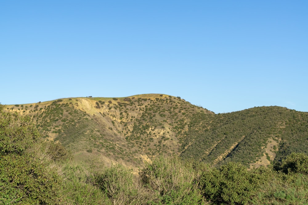 a view of a mountain range with trees in the foreground