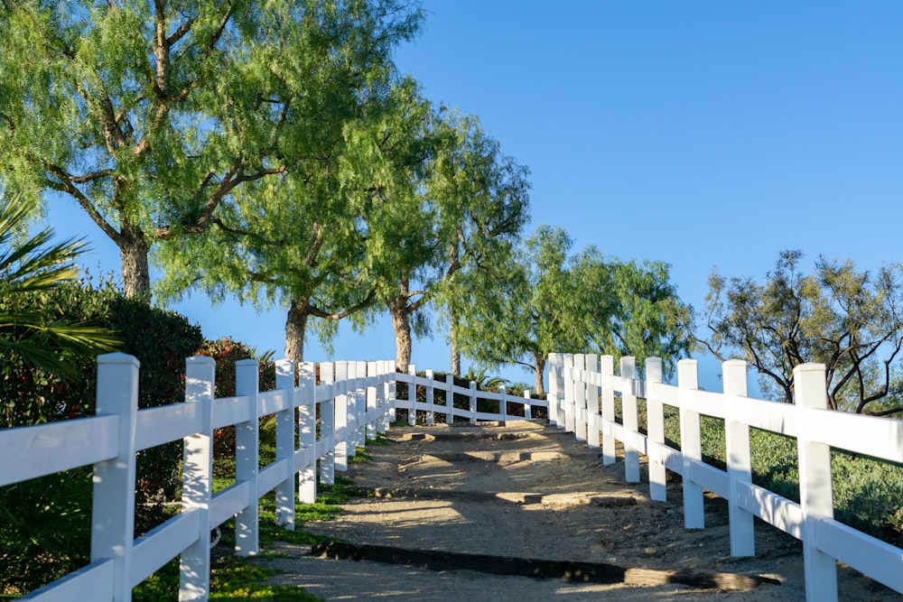 a white fence and some trees on a dirt road