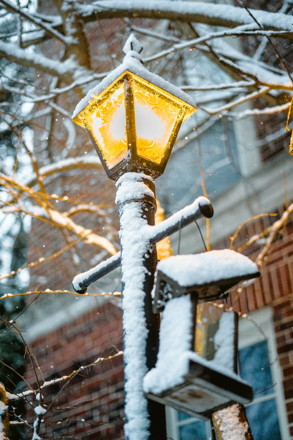 a street light covered in snow next to a tree
