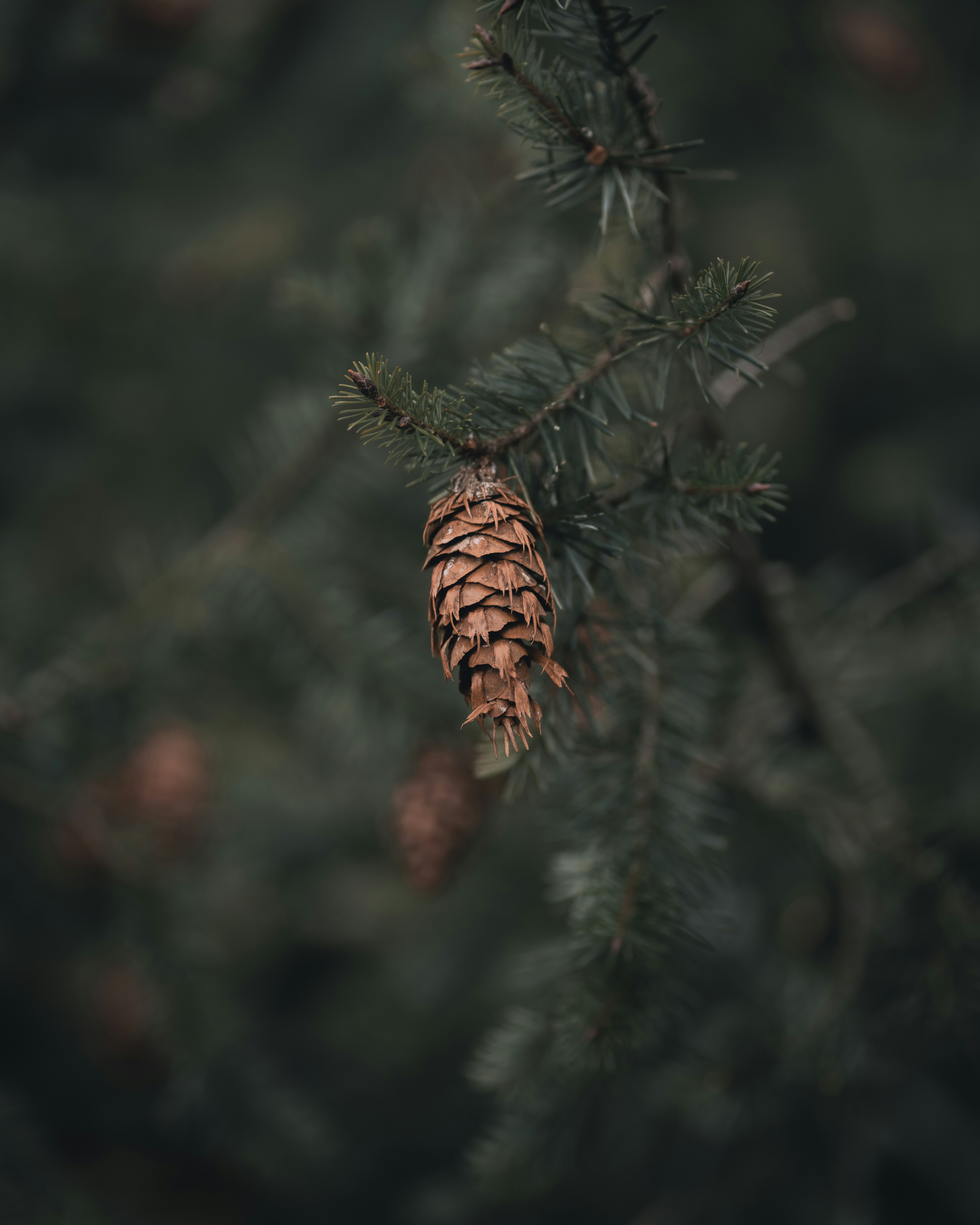 Photo by viklukphotography