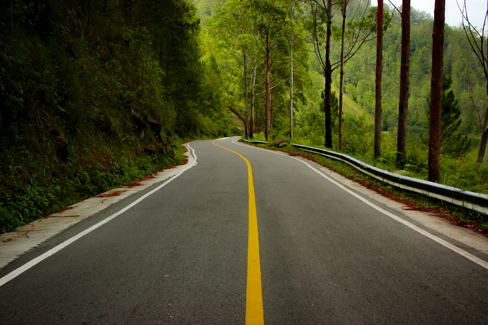 an empty road in the middle of a forest