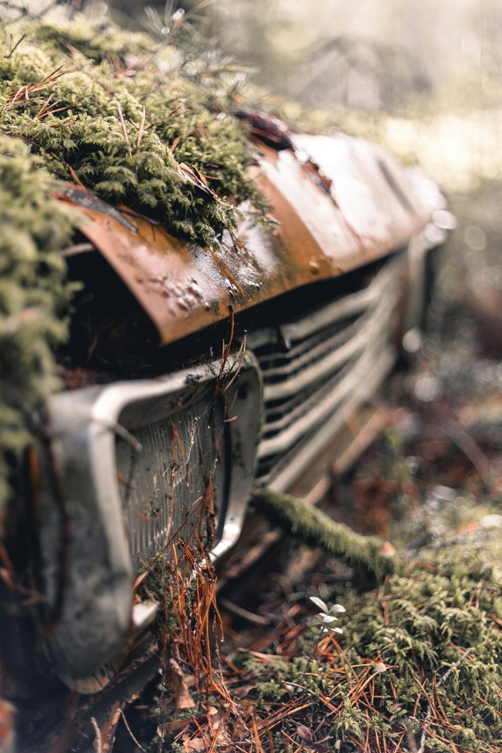 an old radio sitting in the middle of a forest