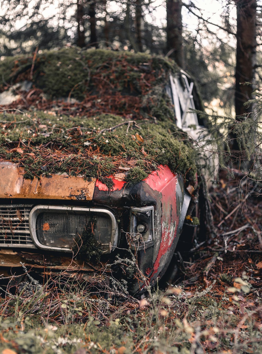 an old rusted out car in the woods