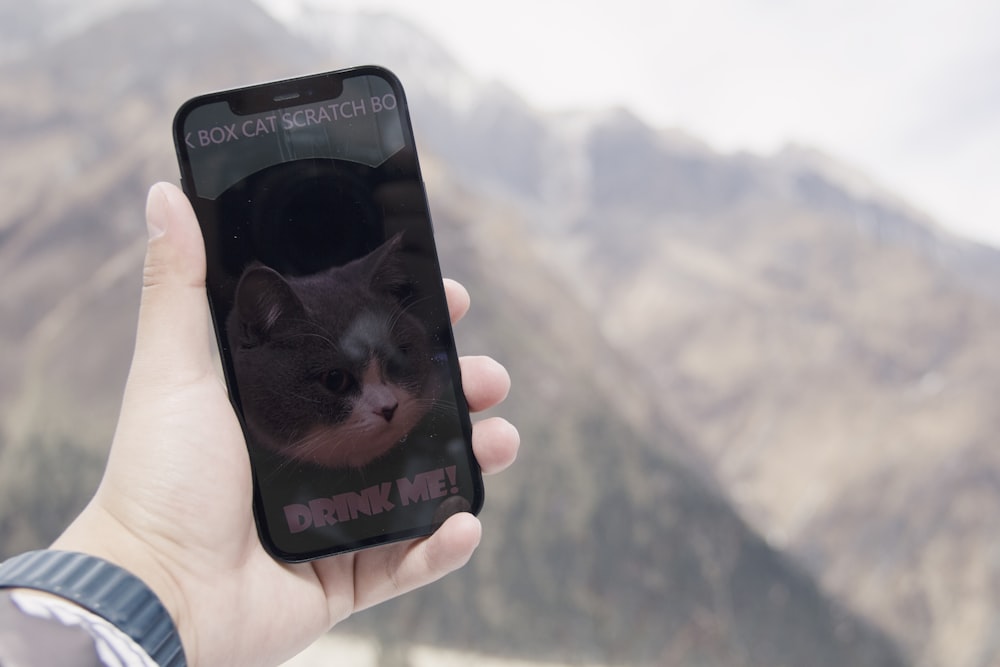 uma pessoa segurando um telefone celular com uma foto de um gato nele
