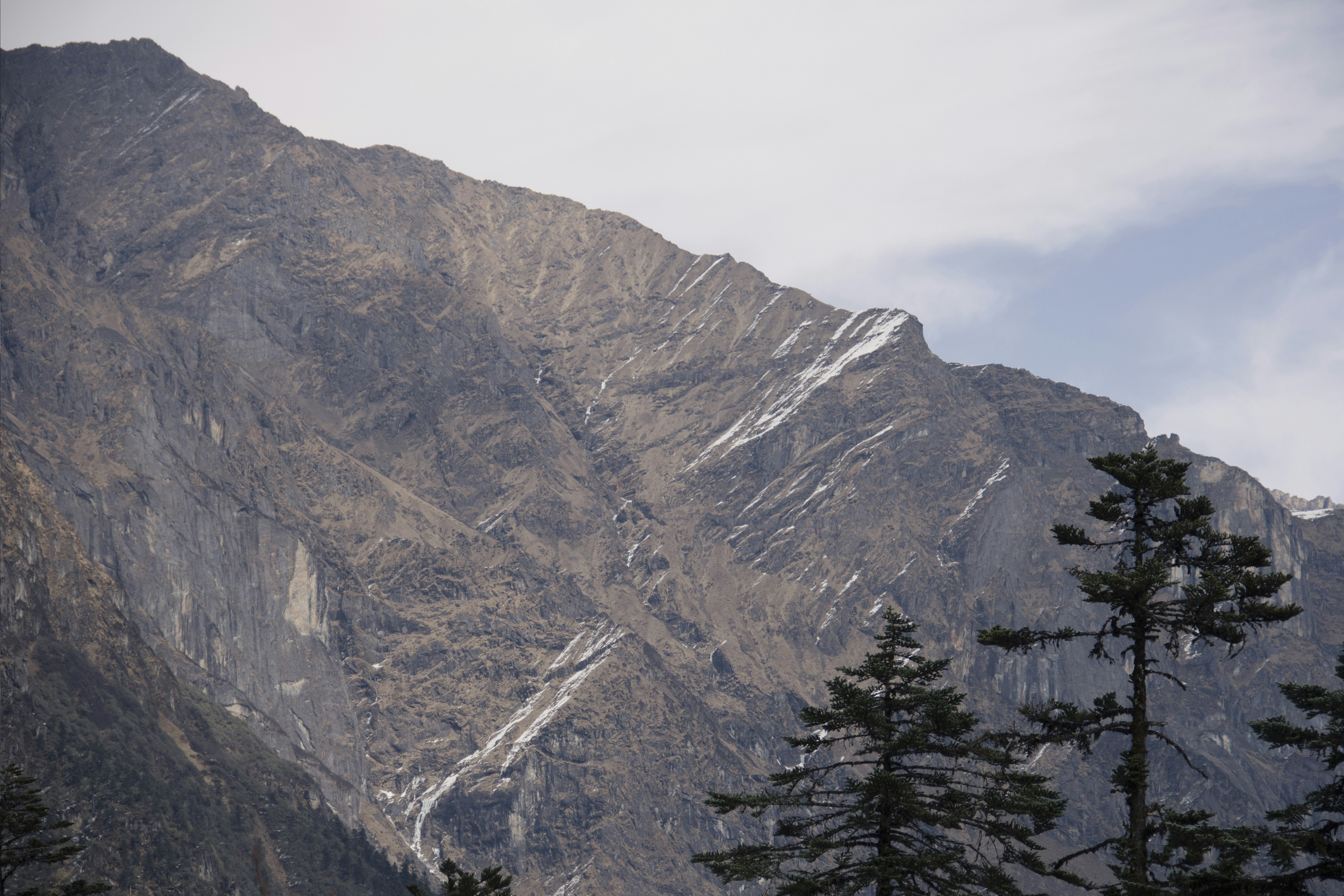 醫生崩潰！這5個「健康食物」根本是毒藥，別再吃了！