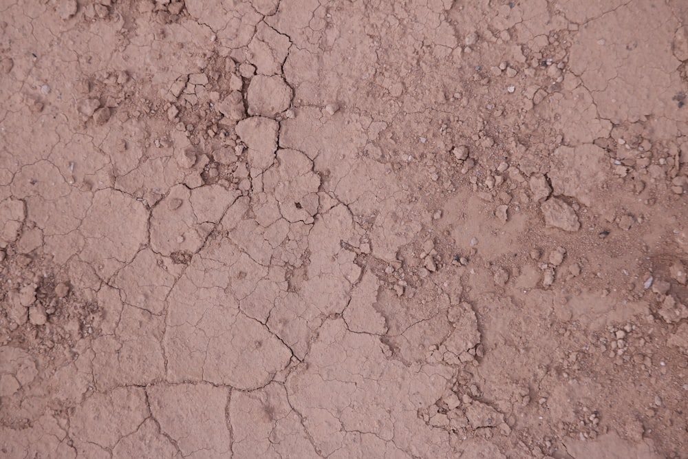 a close up of a dirt surface with cracks