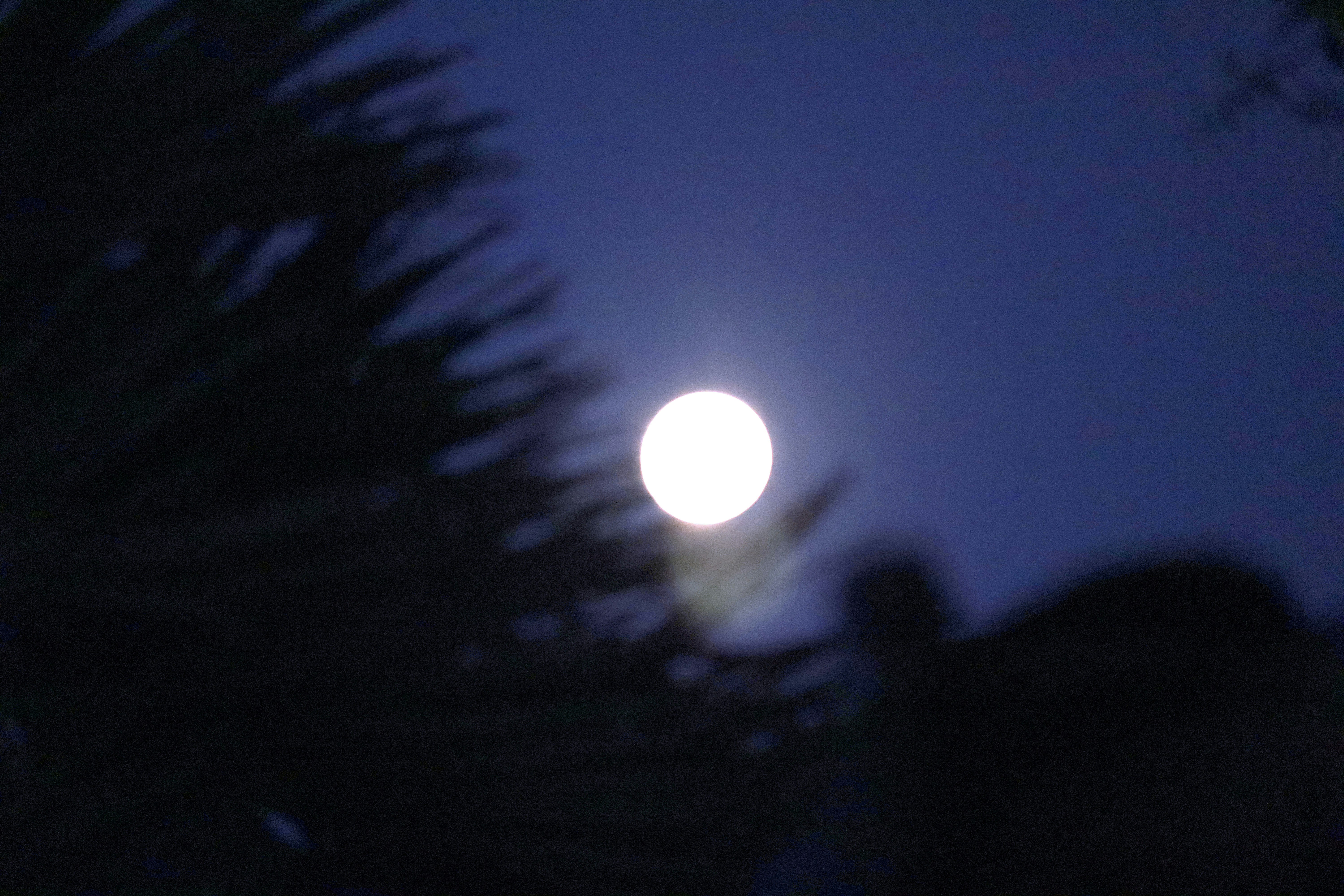 보름달 꿈의 의미와 다양한 해석